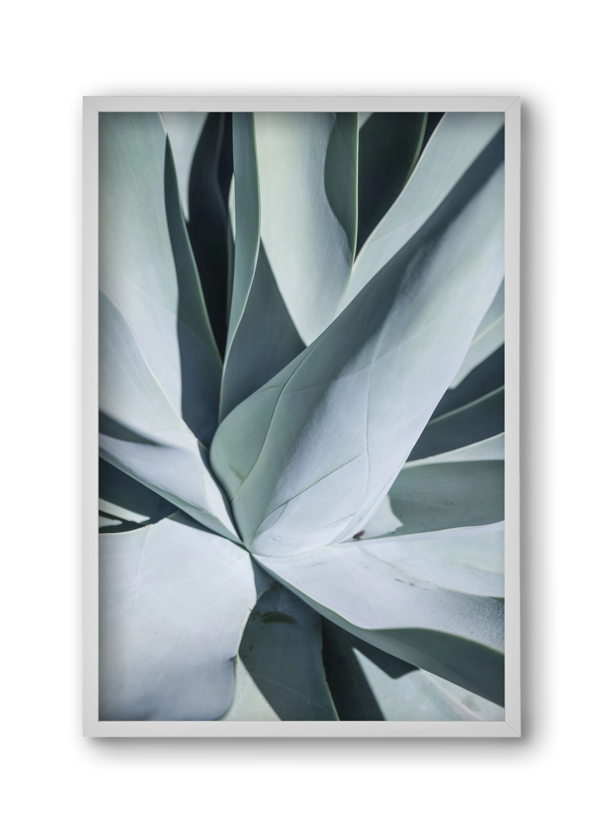 Aqua Cactus, 30x45 cm (30x45 cm), Fehér keret