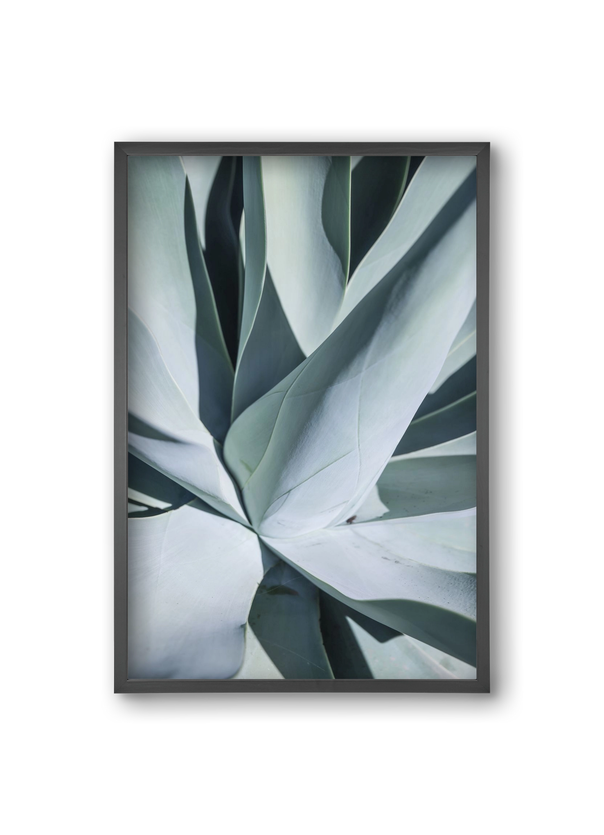 Aqua Cactus, 20x30 cm (20x30 cm), Fekete keret