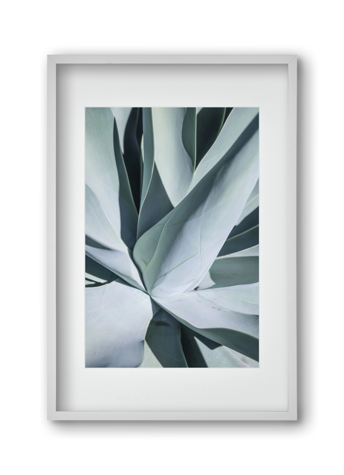 Aqua Cactus, 30x45 cm (20x30 cm), Fehér keret, paszpartuval