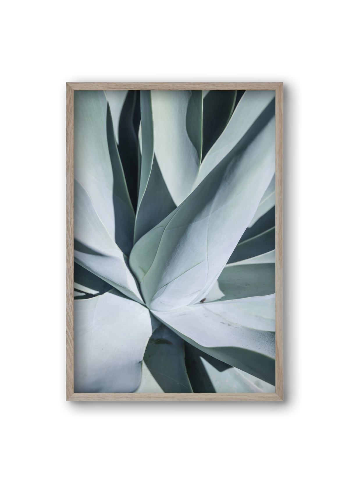 Aqua Cactus, 20x30 cm (20x30 cm), Tölgy keret