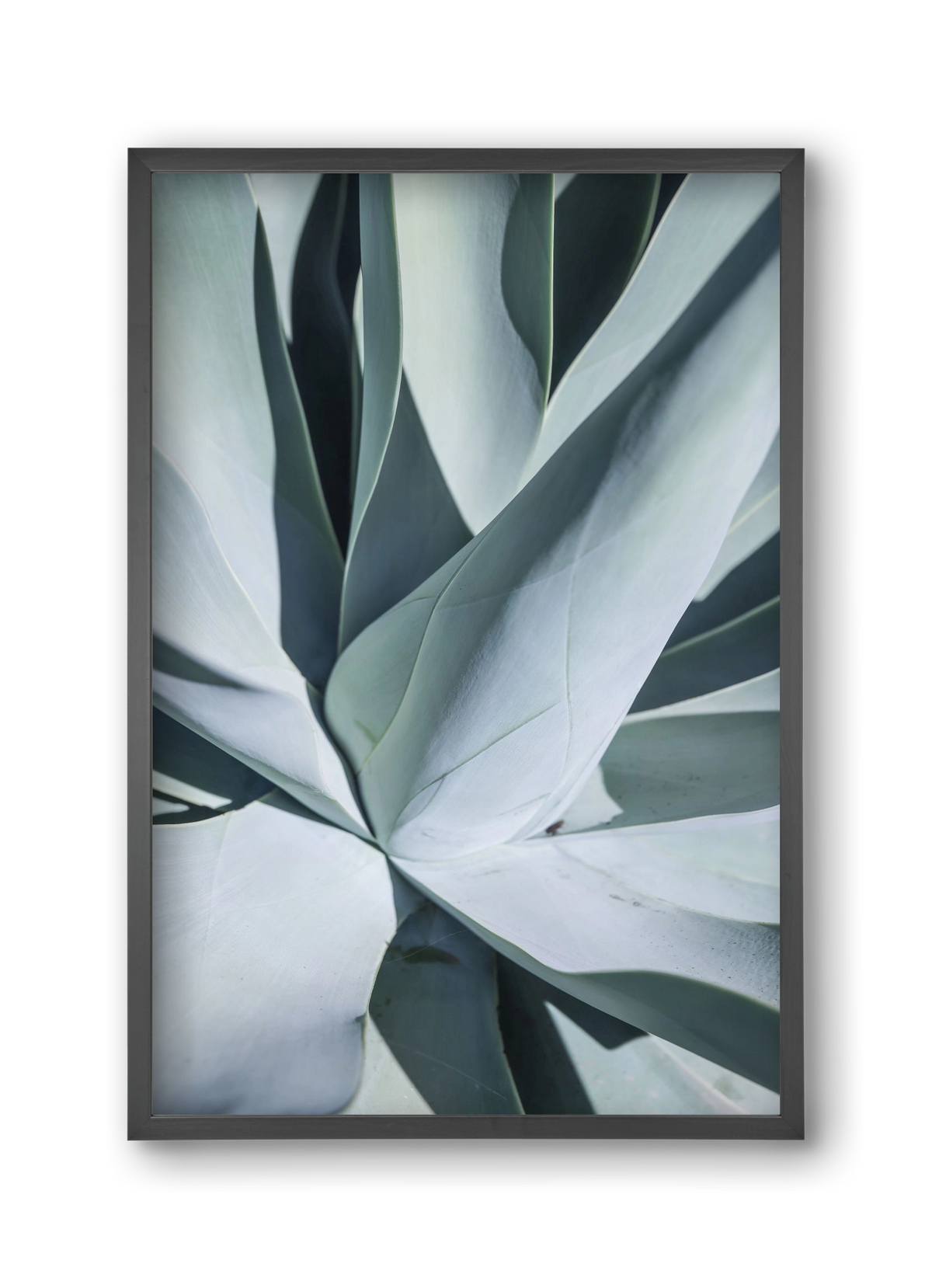 Aqua Cactus, 30x45 cm (30x45 cm), Fekete keret