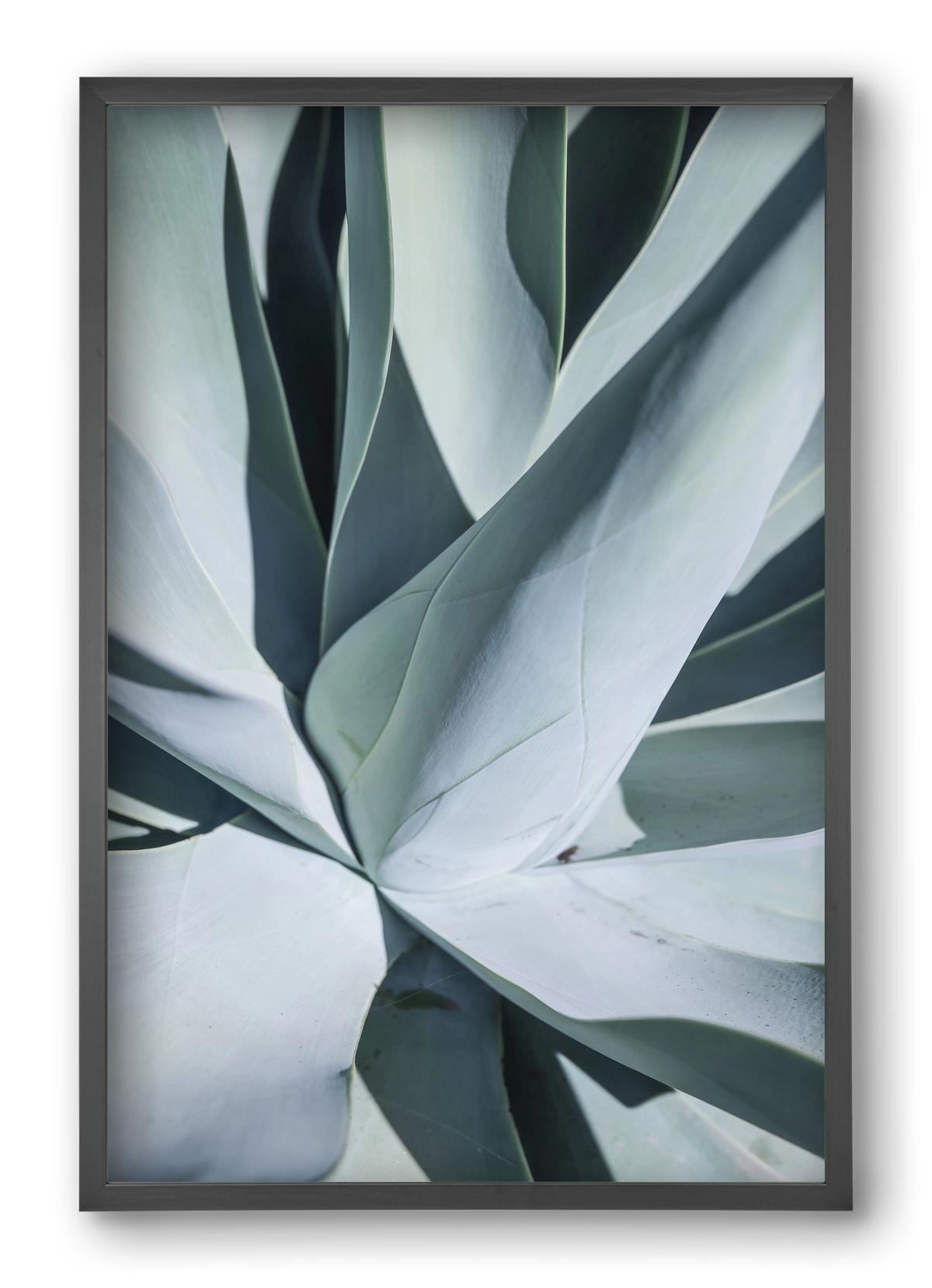 Aqua Cactus, 40x60 cm (40x60 cm), Fekete keret