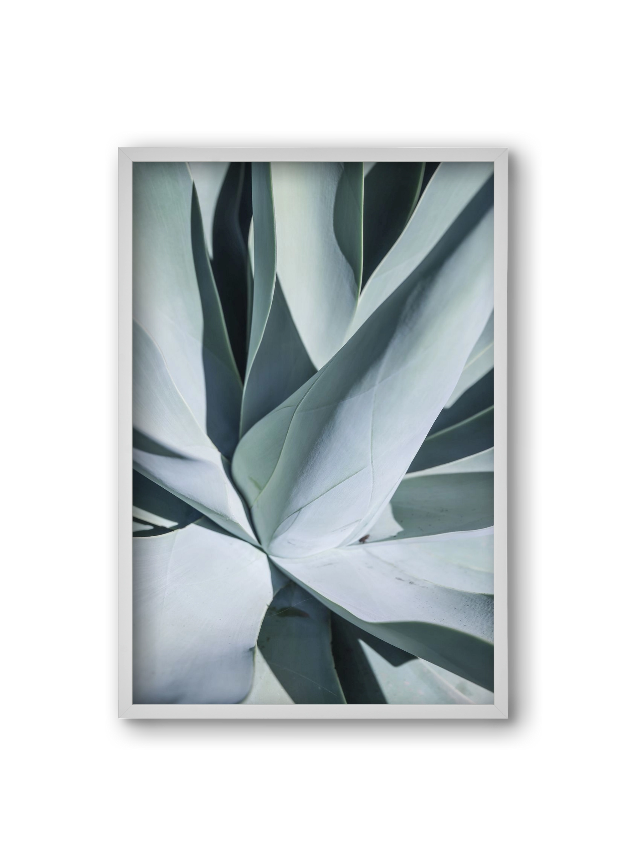 Aqua Cactus, 20x30 cm (20x30 cm), Fehér keret