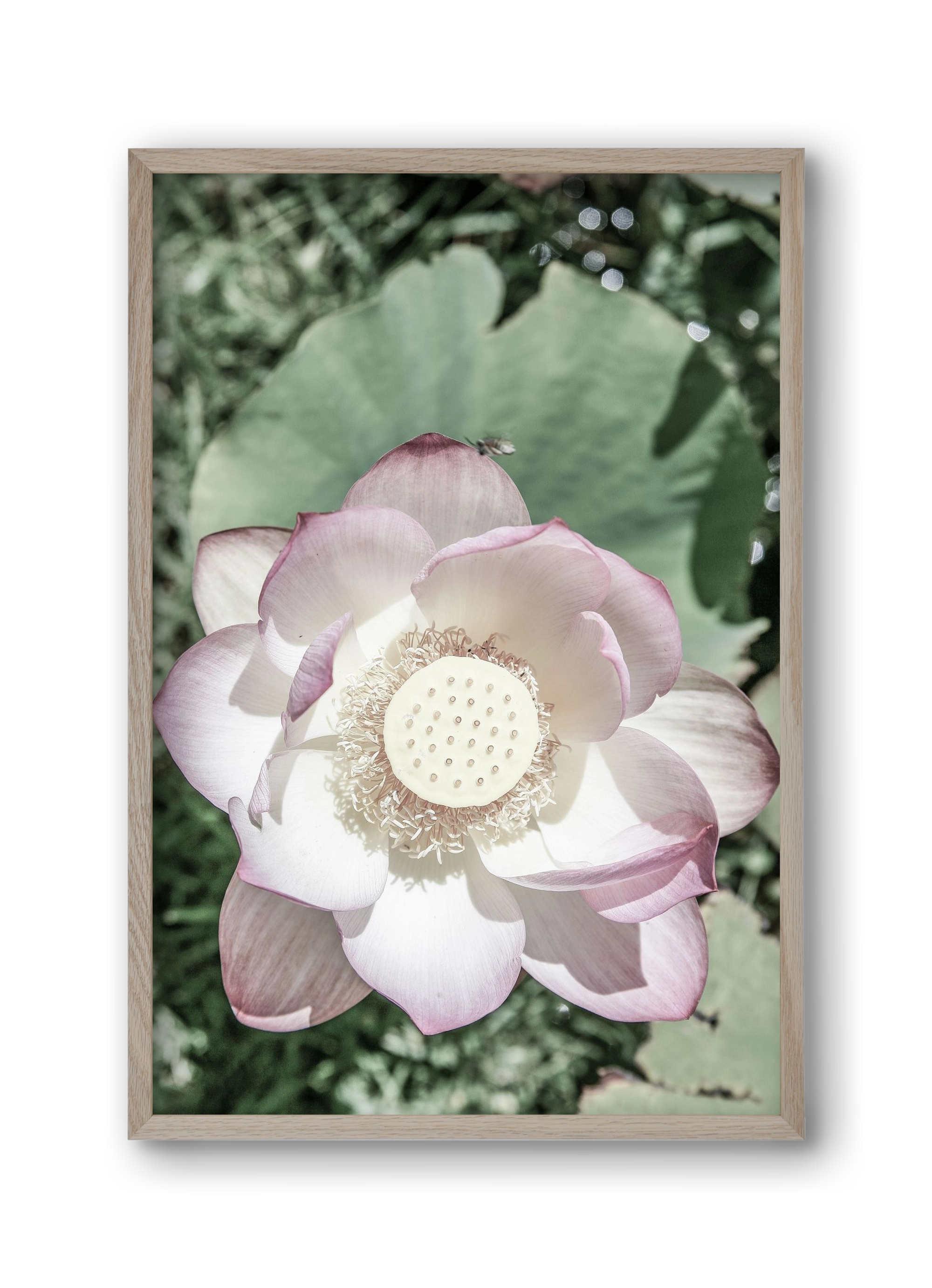 Lotus, 30x45 cm (30x45 cm), Tölgy keret