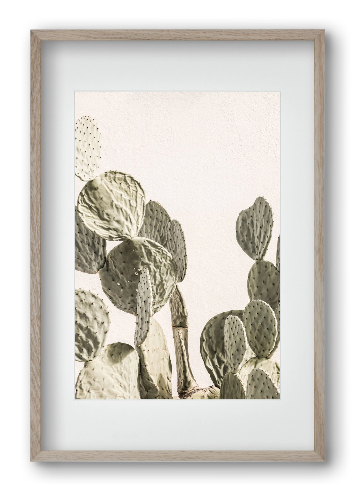 Mexi cactus, 40x60 cm (30x45 cm), Tölgy keret, paszpartuval