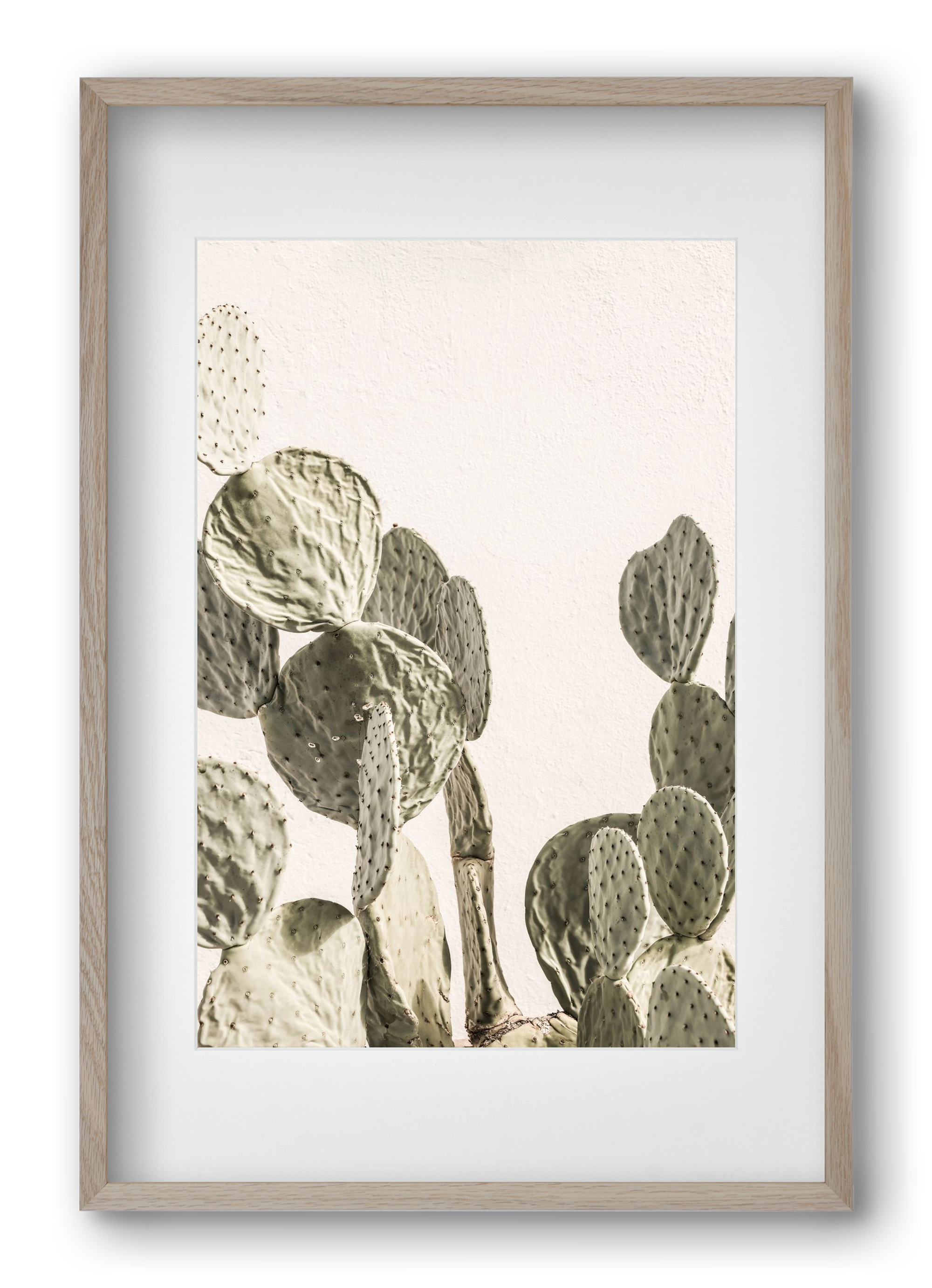 Mexi cactus, 40x60 cm (30x45 cm), Tölgy keret, paszpartuval