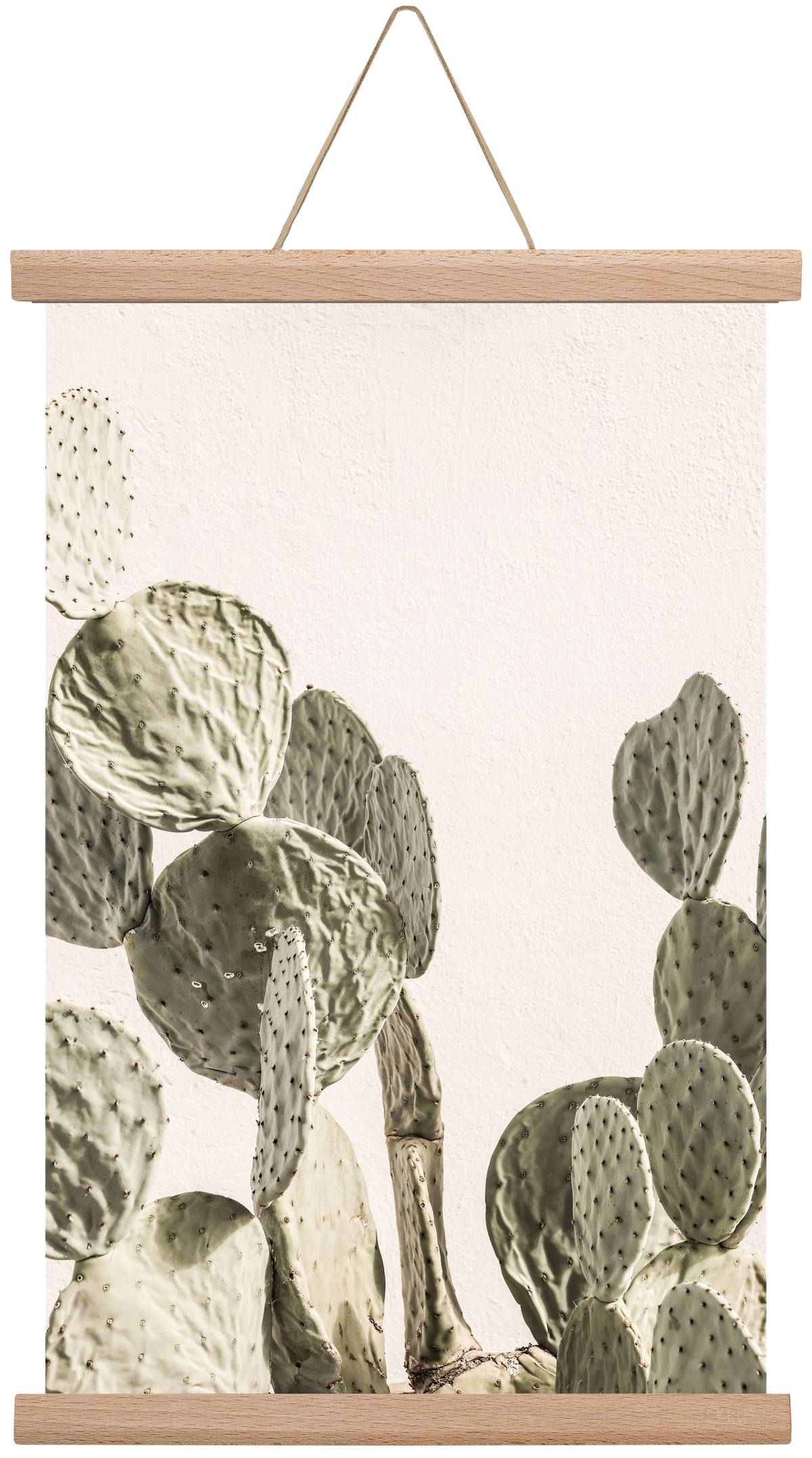 Mexi cactus, 30x45 cm (30x45 cm), Tölgy akasztó