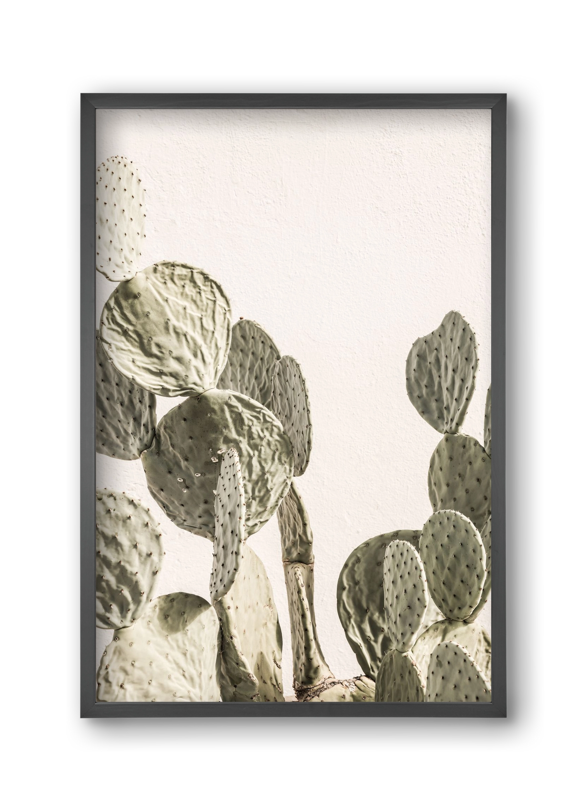 Mexi cactus, 30x45 cm (30x45 cm), Fekete keret