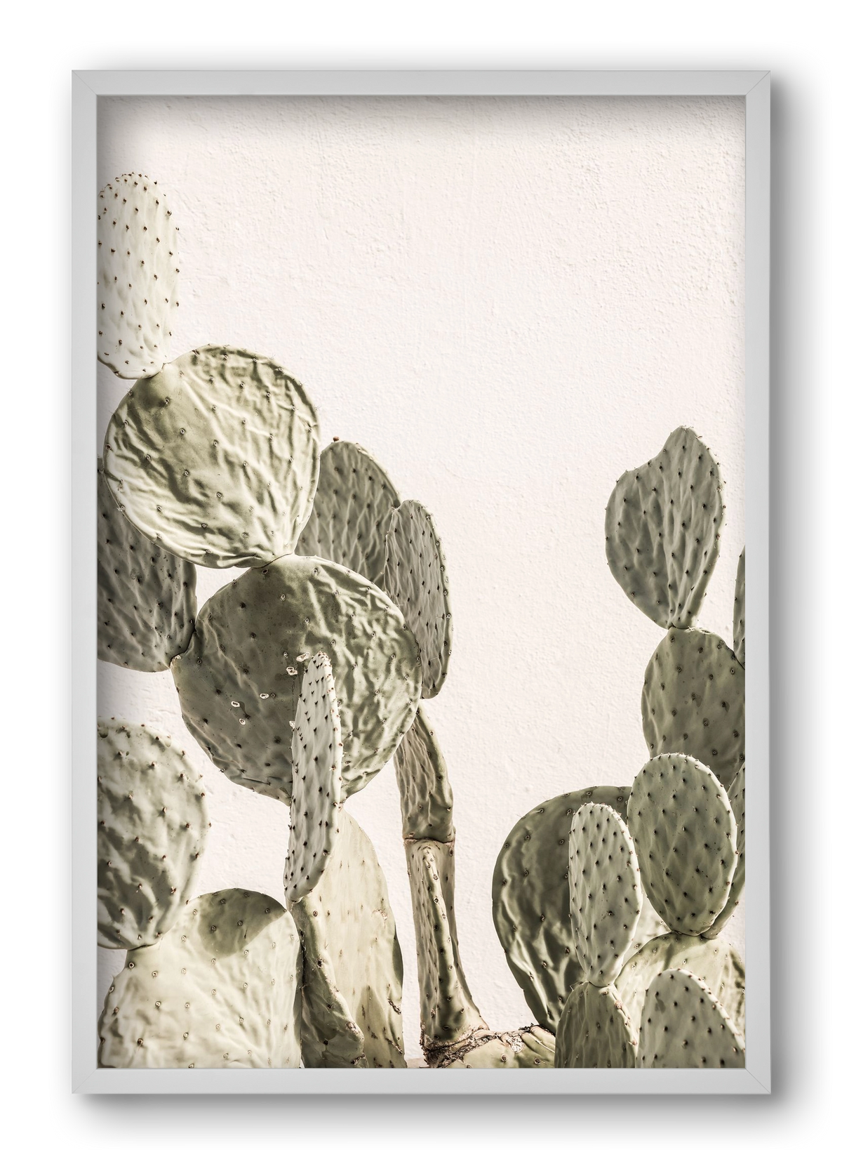 Mexi cactus, 40x60 cm (40x60 cm), Fehér keret