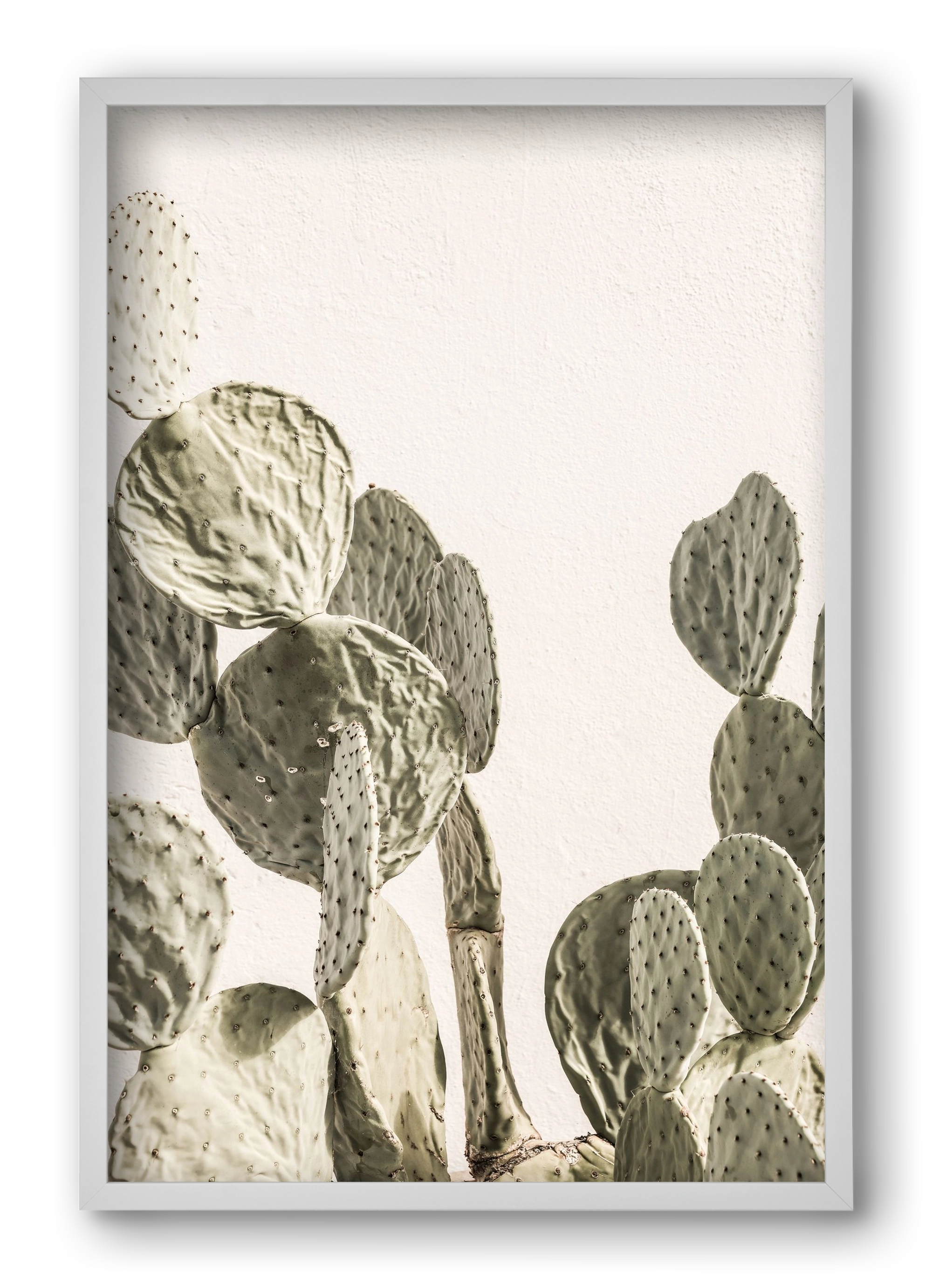 Mexi cactus, 40x60 cm (40x60 cm), Fehér keret