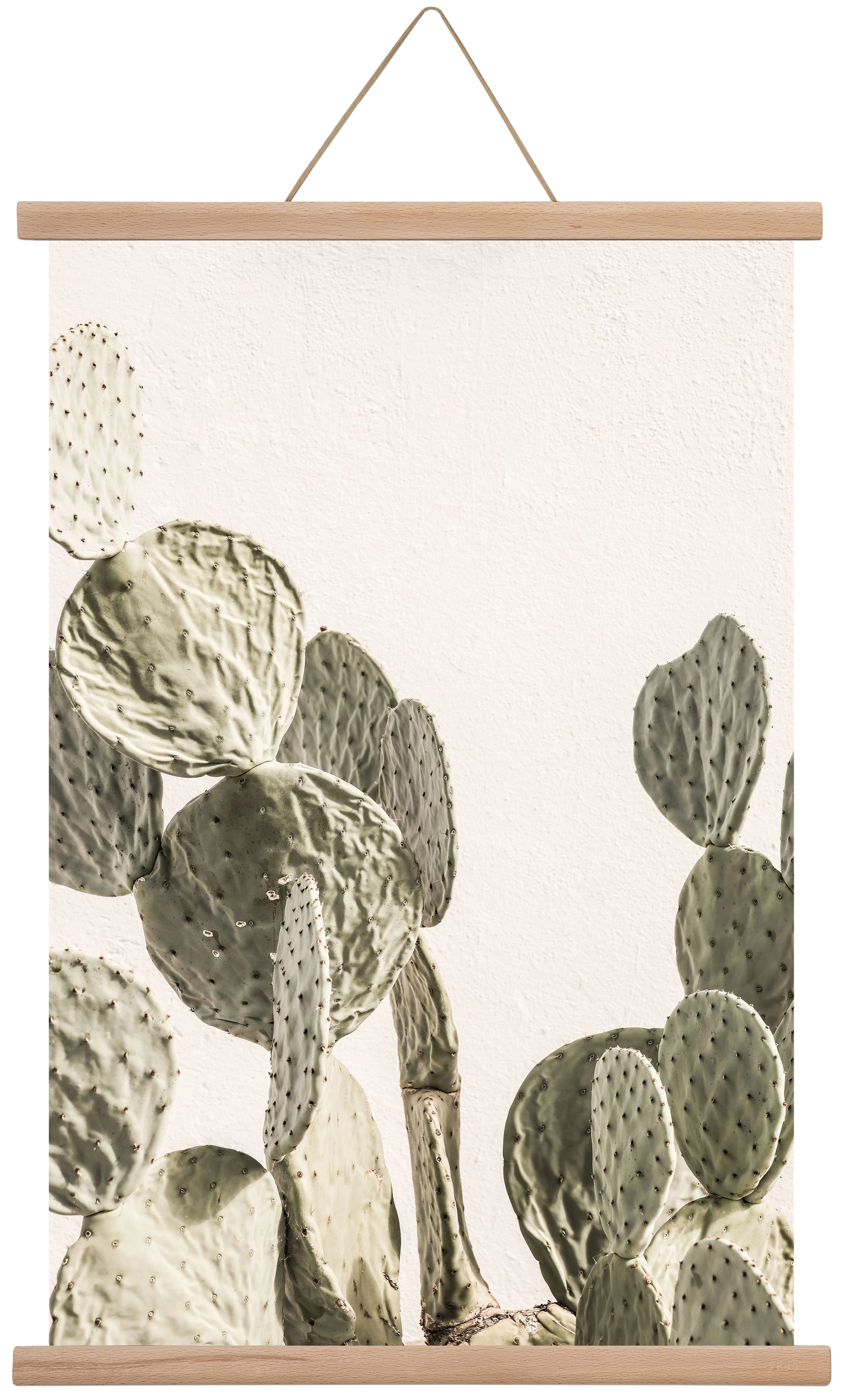 Mexi cactus, 40x60 cm (40x60 cm), Tölgy akasztó