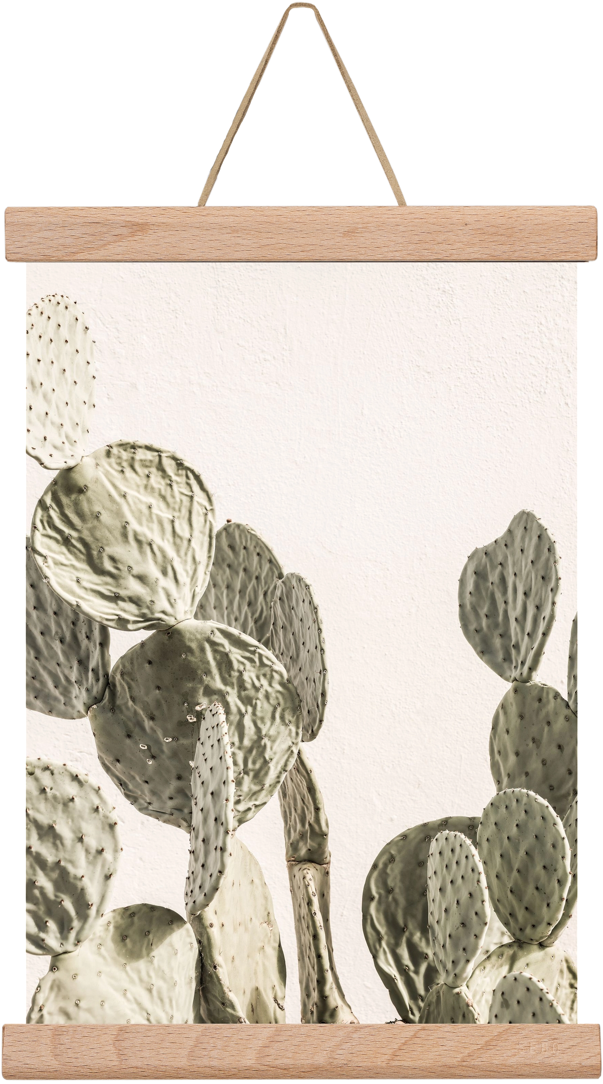 Mexi cactus, 20x30 cm (20x30 cm), Tölgy akasztó