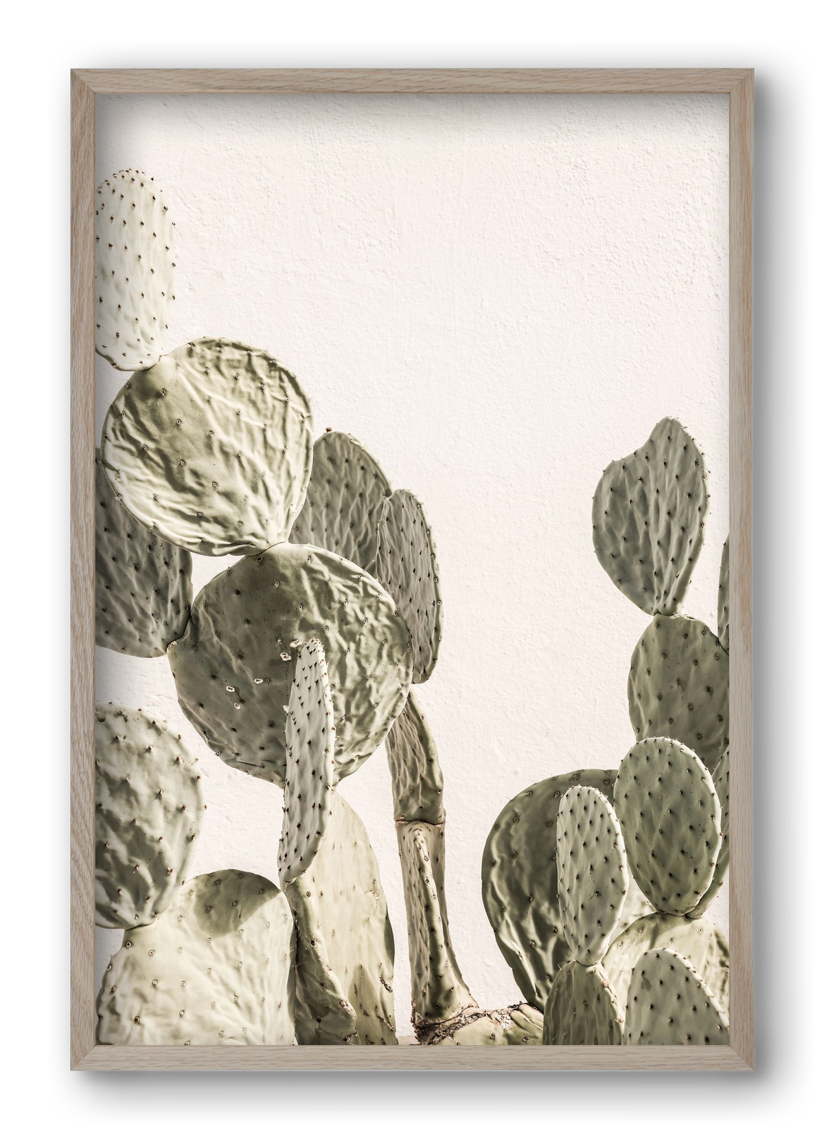 Mexi cactus, 40x60 cm (40x60 cm), Tölgy keret