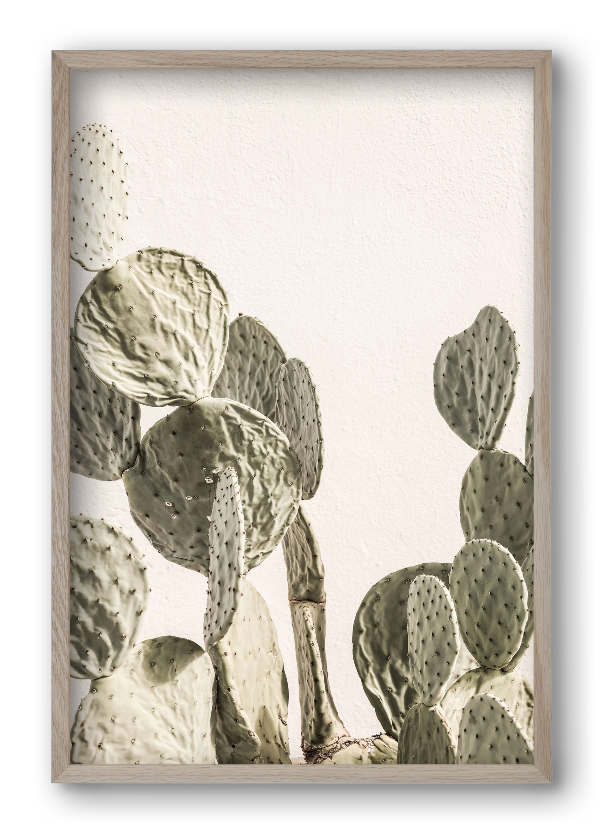 Mexi cactus, 40x60 cm (40x60 cm), Tölgy keret