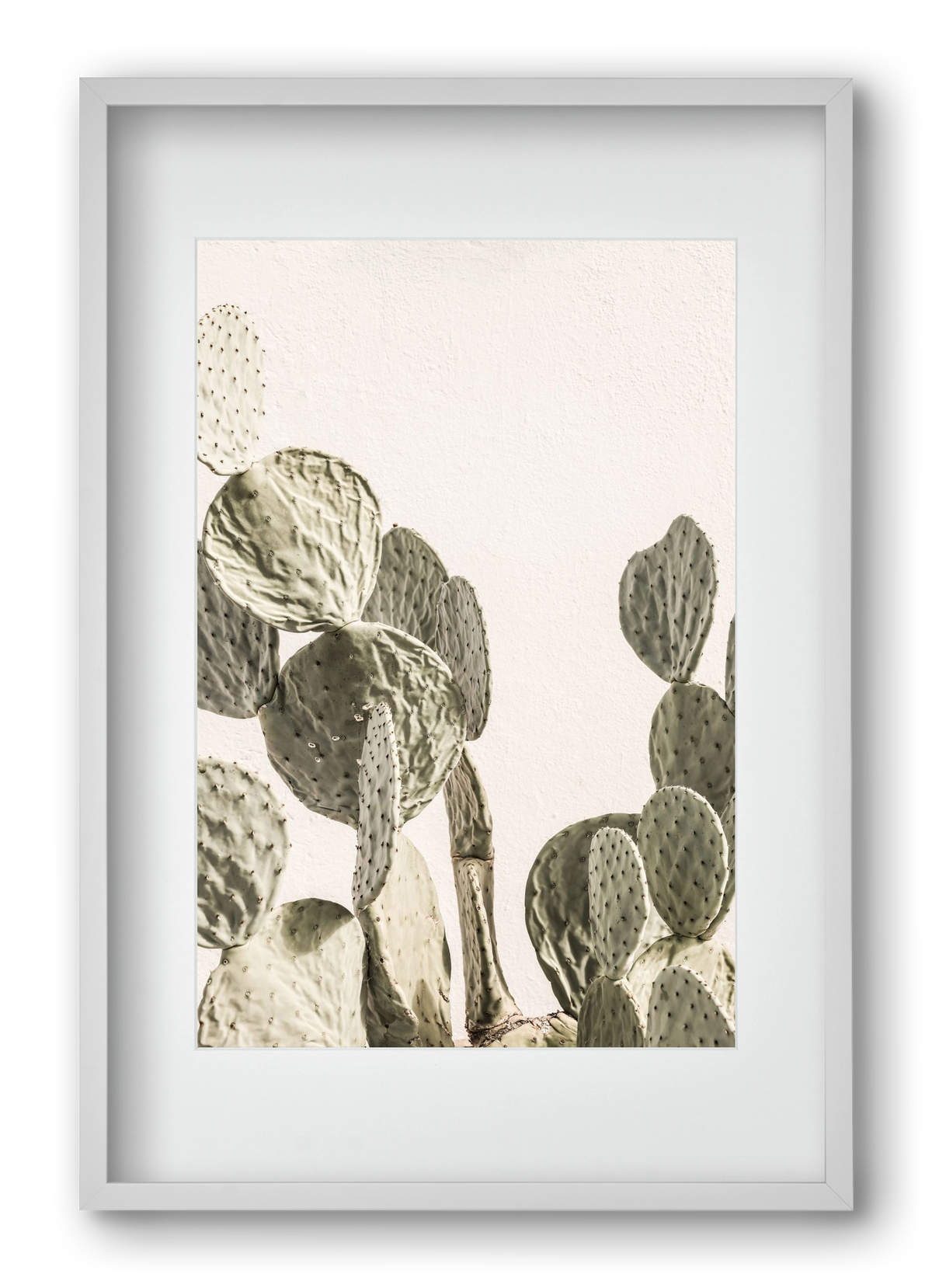 Mexi cactus, 40x60 cm (30x45 cm), Fehér keret, paszpartuval