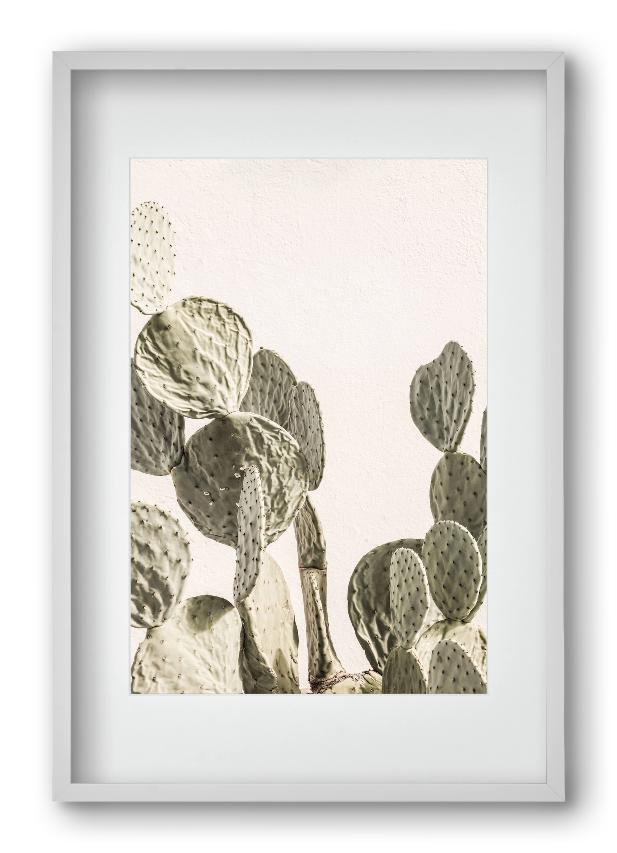 Mexi cactus, 40x60 cm (30x45 cm), Fehér keret, paszpartuval