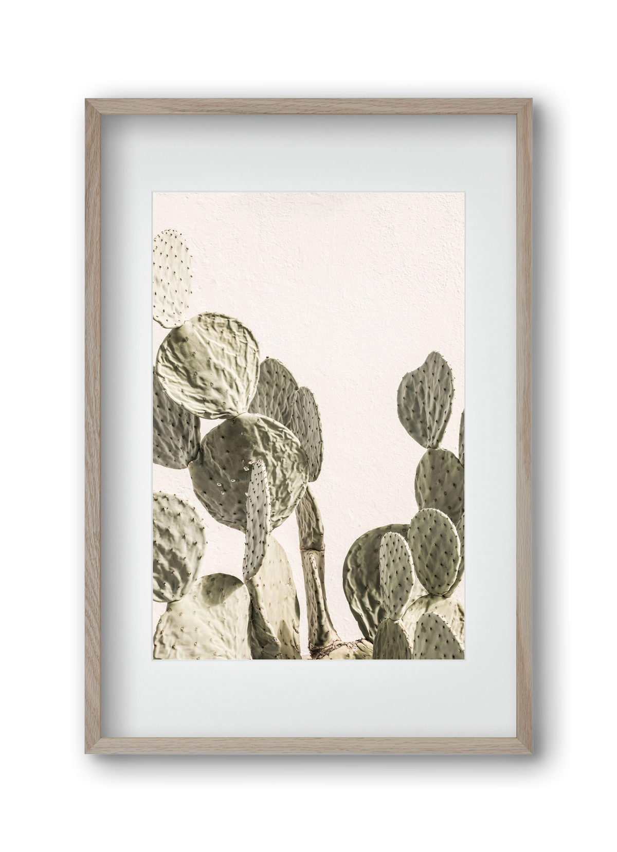 Mexi cactus, 30x45 cm (20x30 cm), Tölgy keret, paszpartuval