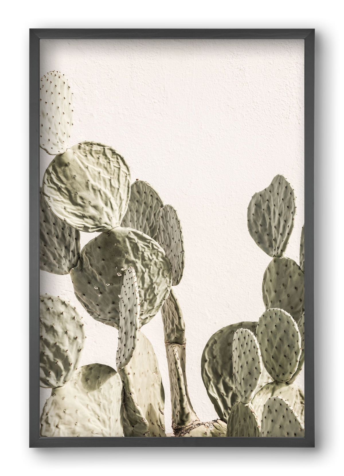 Mexi cactus, 40x60 cm (40x60 cm), Fekete keret