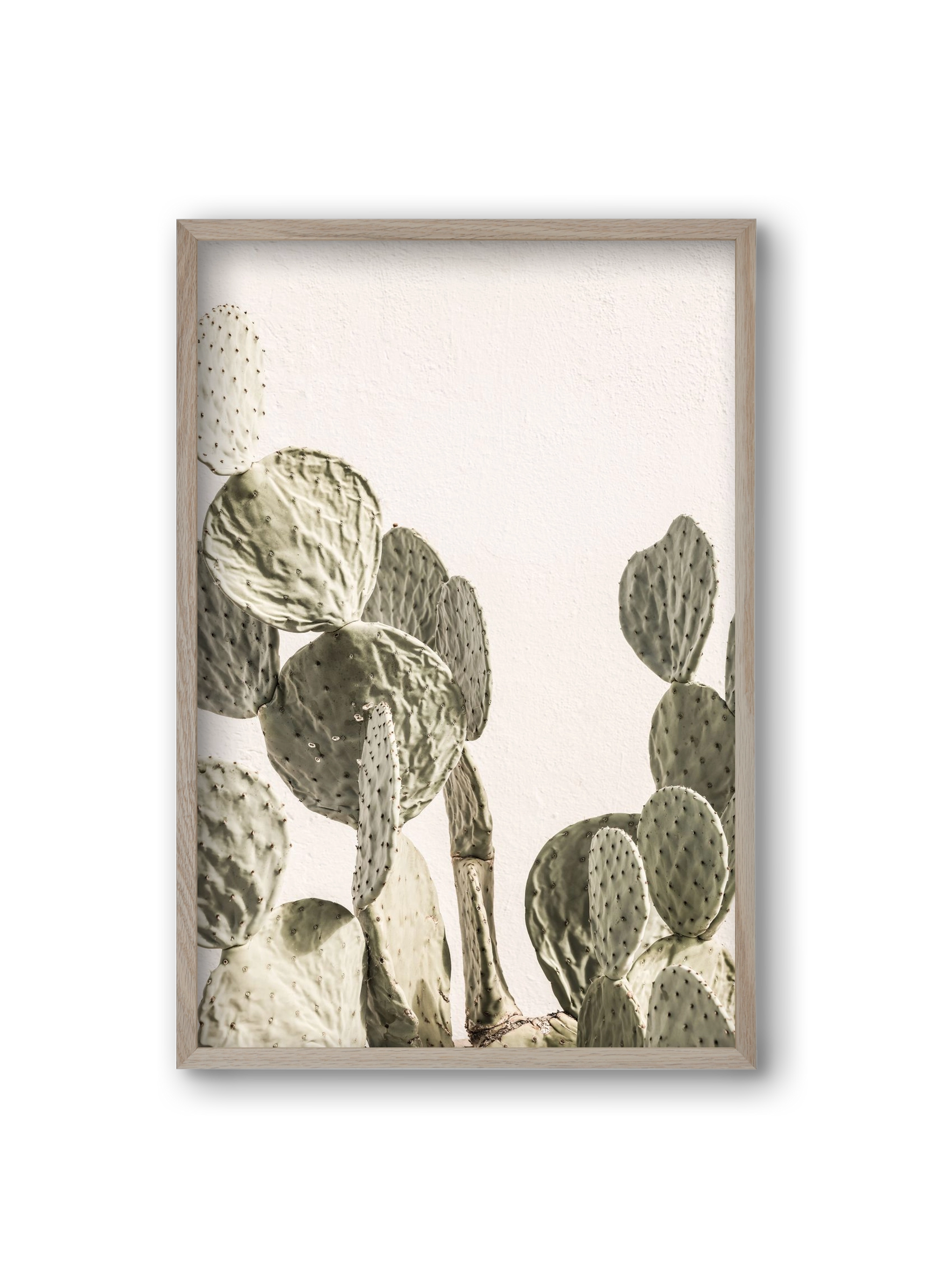 Mexi cactus, 20x30 cm (20x30 cm), Tölgy keret