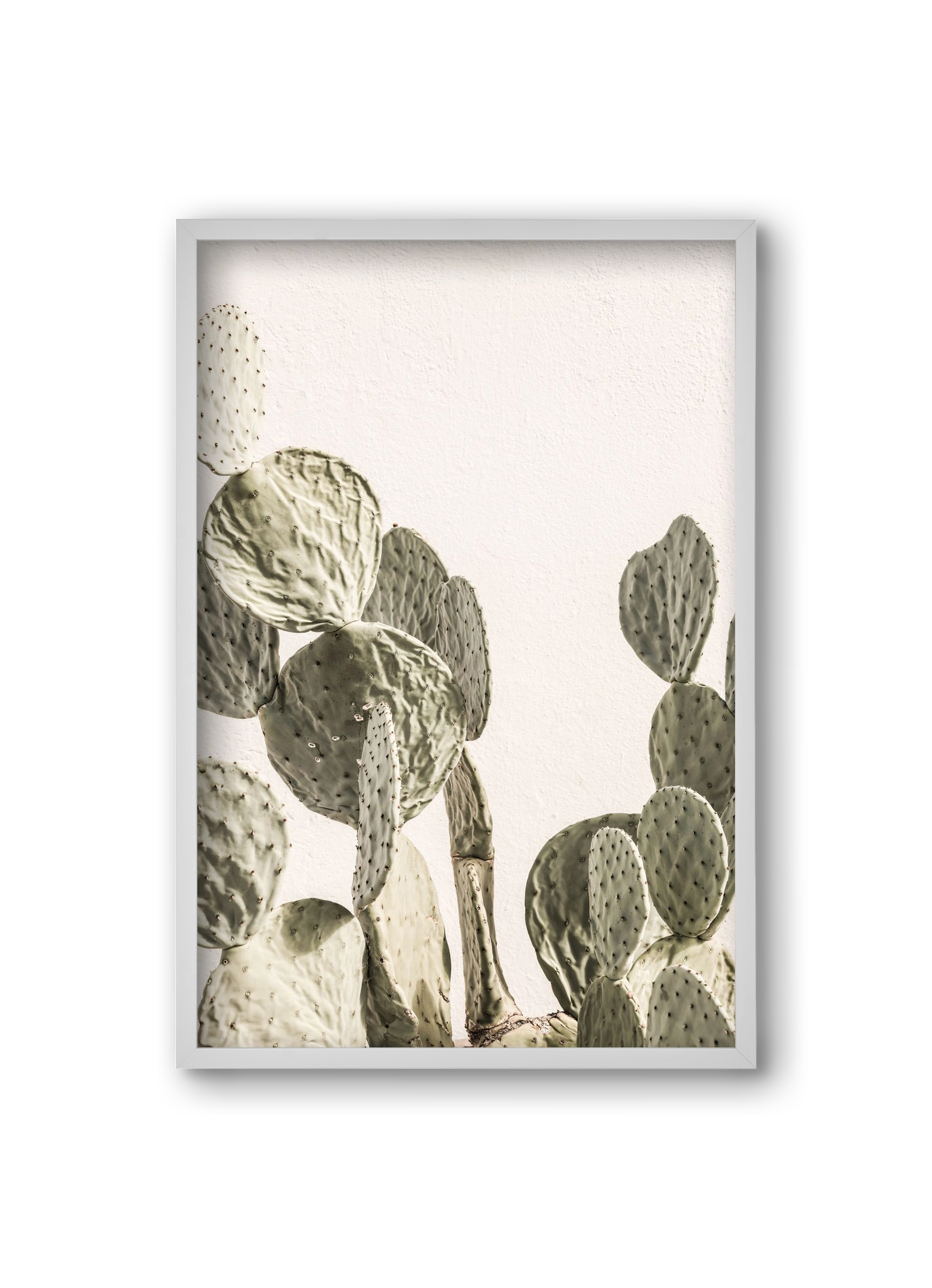 Mexi cactus, 20x30 cm (20x30 cm), Fehér keret