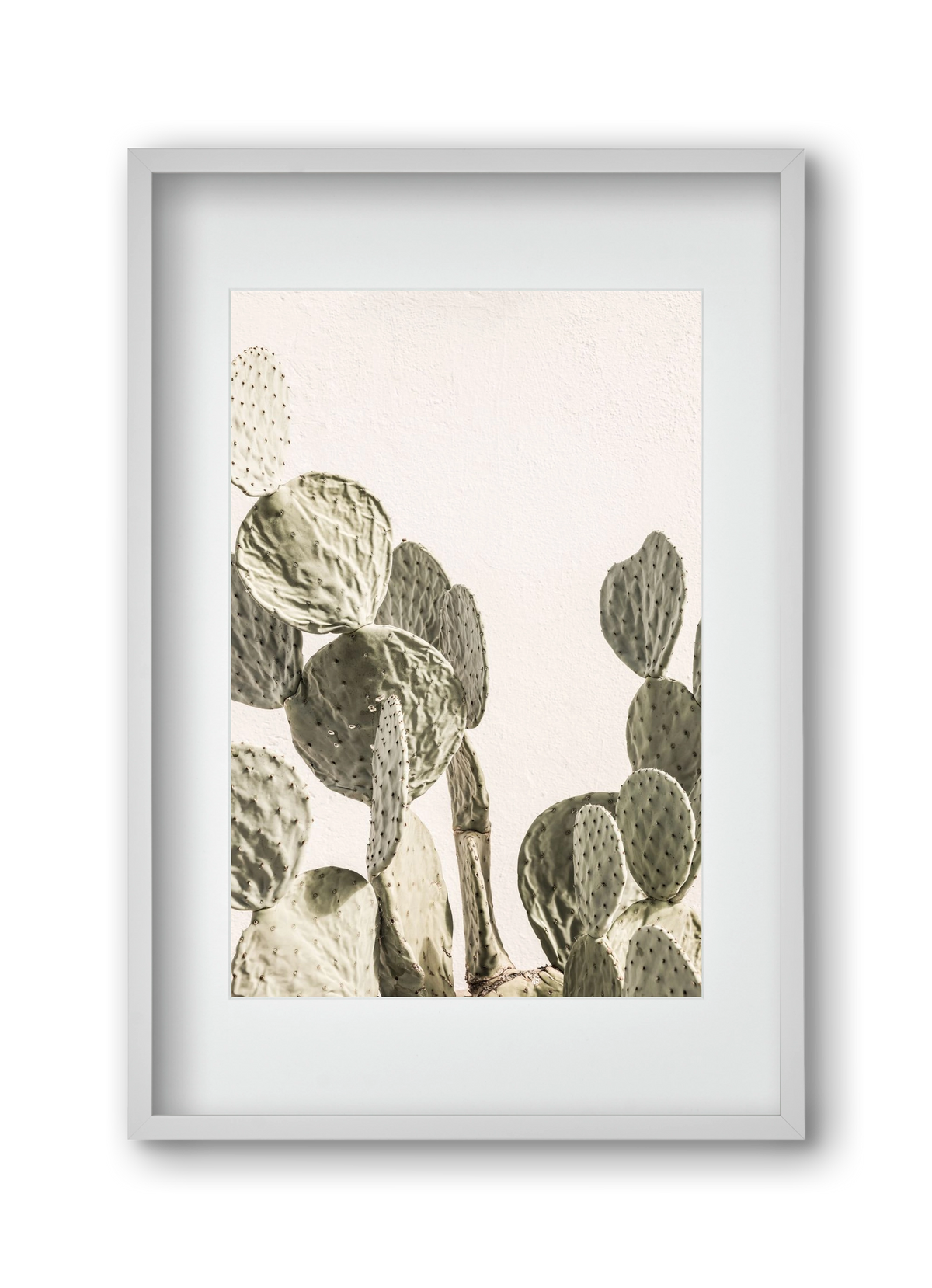 Mexi cactus, 30x45 cm (20x30 cm), Fehér keret, paszpartuval