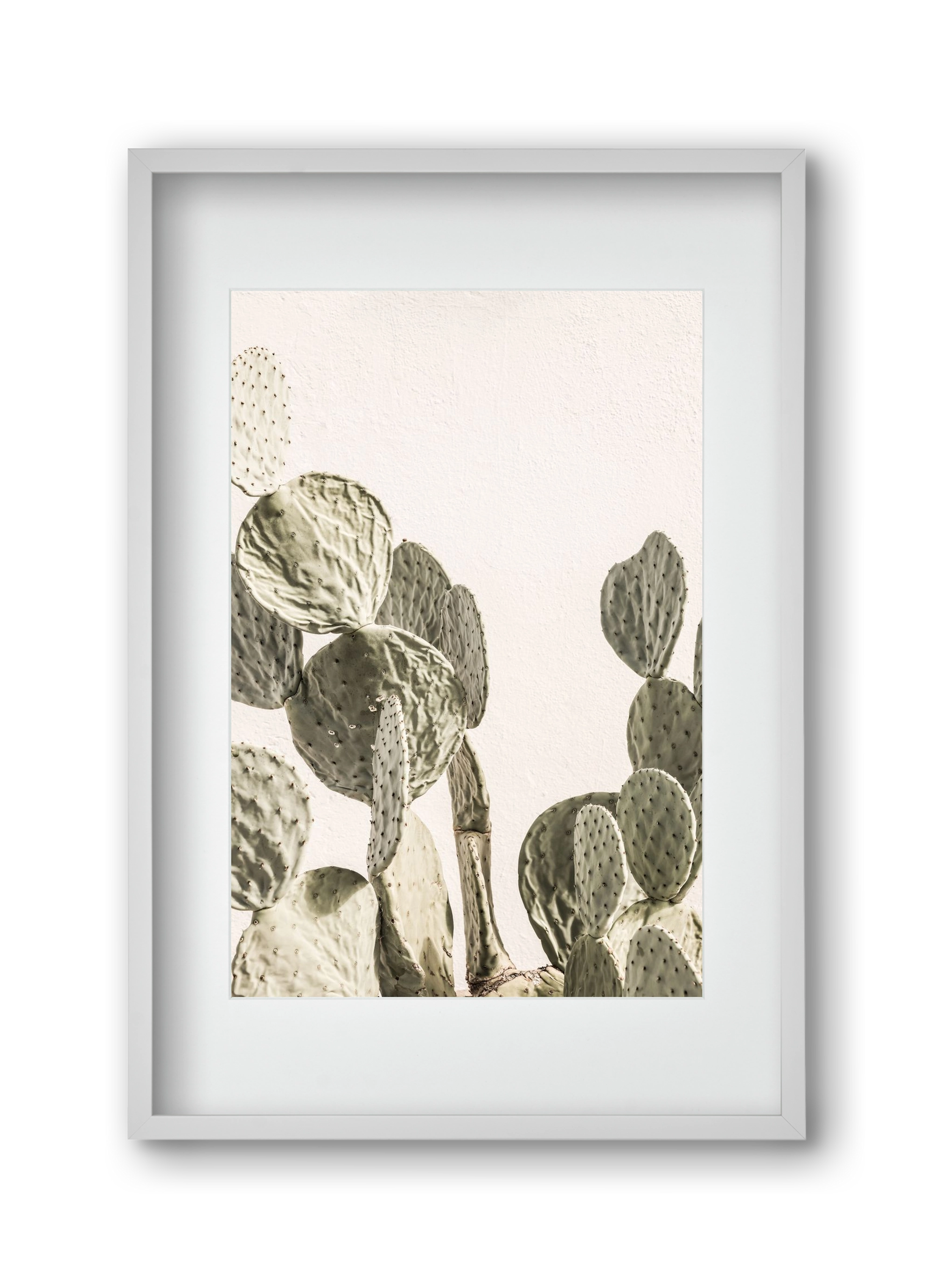 Mexi cactus, 30x45 cm (20x30 cm), Fehér keret, paszpartuval
