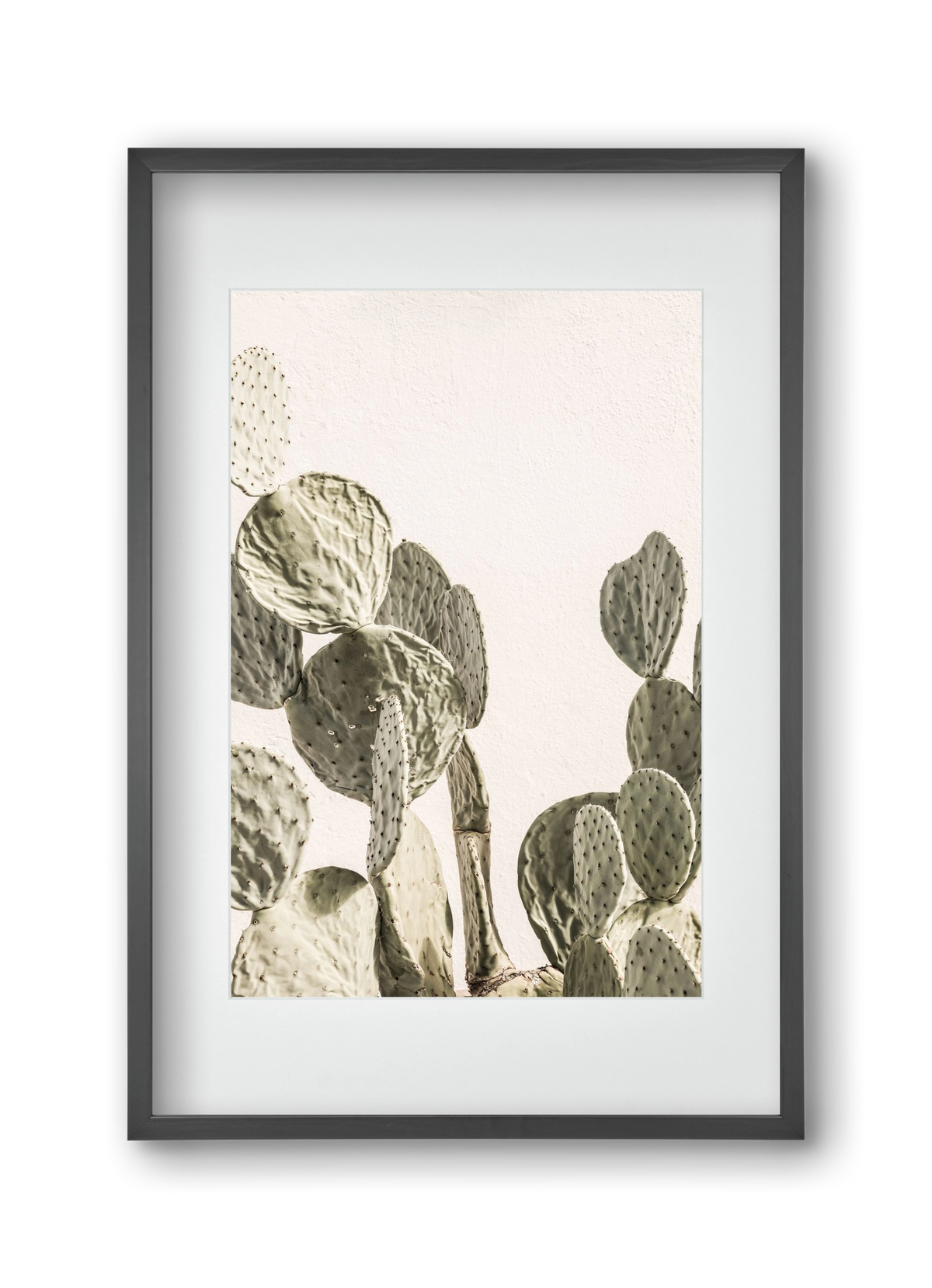 Mexi cactus, 30x45 cm (20x30 cm), Fekete keret, paszpartuval