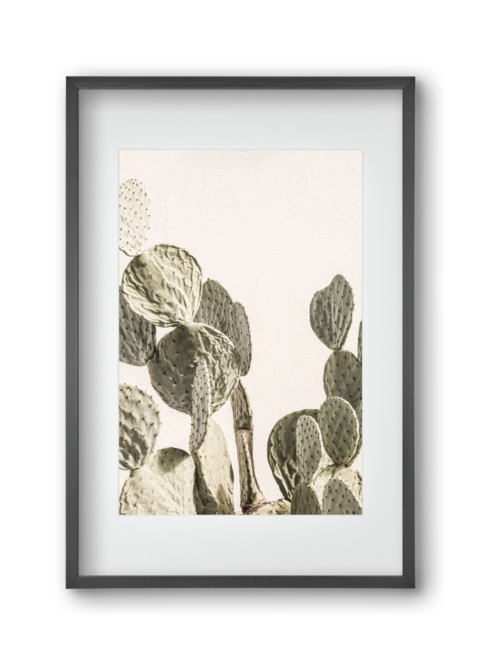 Mexi cactus, 30x45 cm (20x30 cm), Fekete keret, paszpartuval