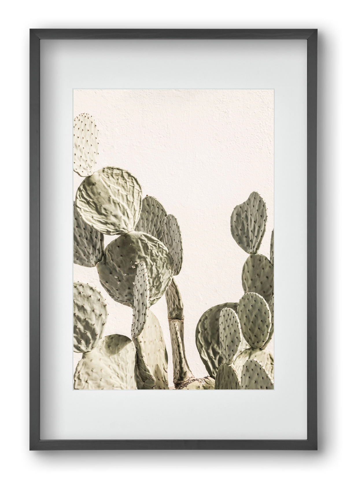 Mexi cactus, 40x60 cm (30x45 cm), Fekete keret, paszpartuval