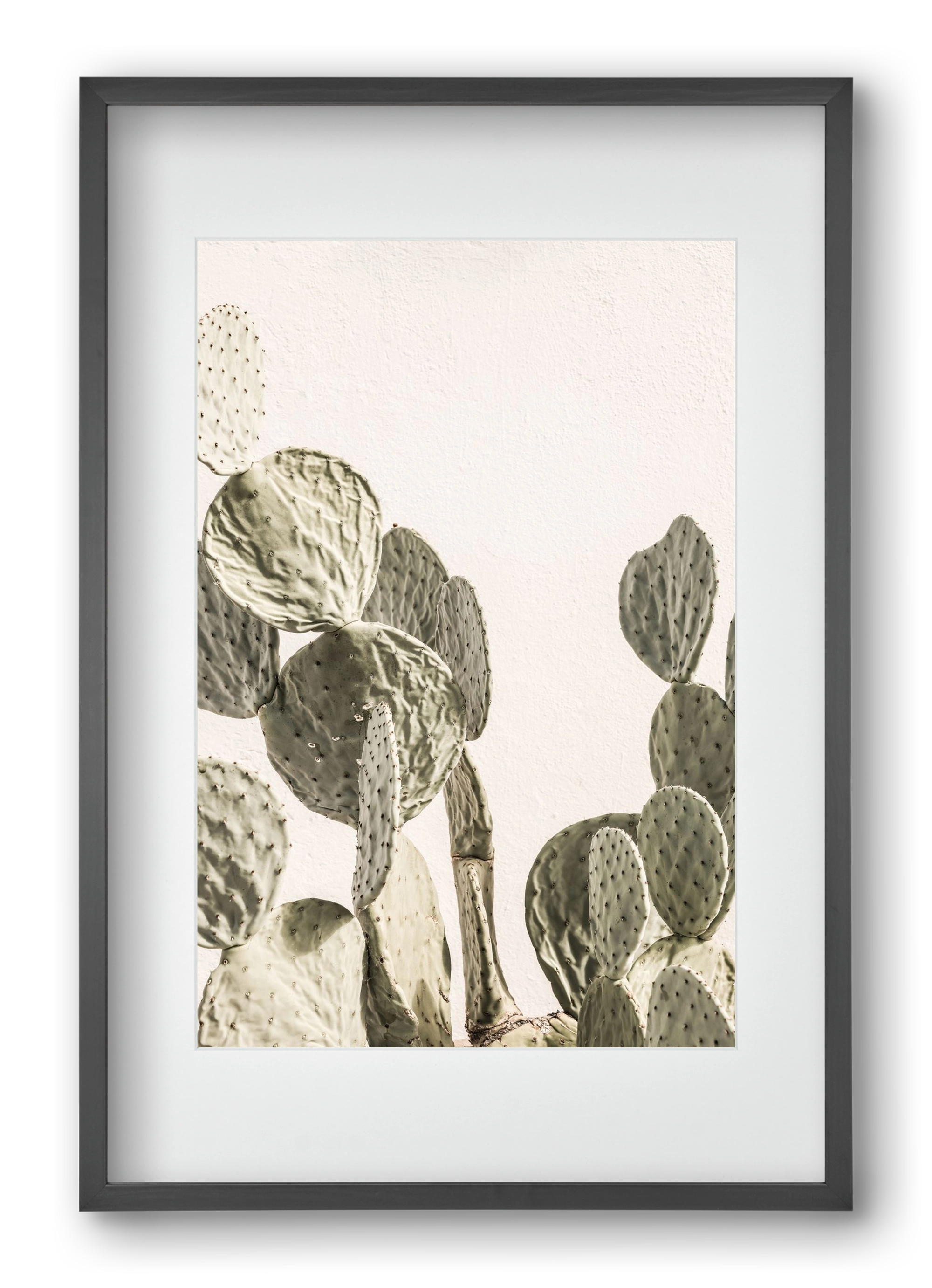 Mexi cactus, 40x60 cm (30x45 cm), Fekete keret, paszpartuval