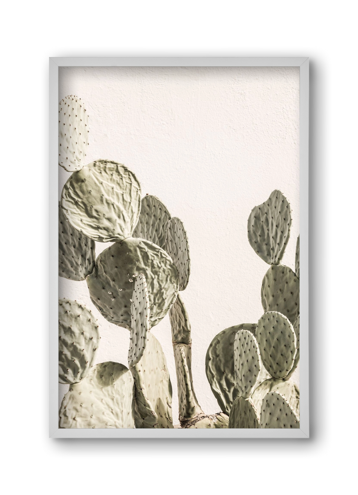 Mexi cactus, 30x45 cm (30x45 cm), Fehér keret