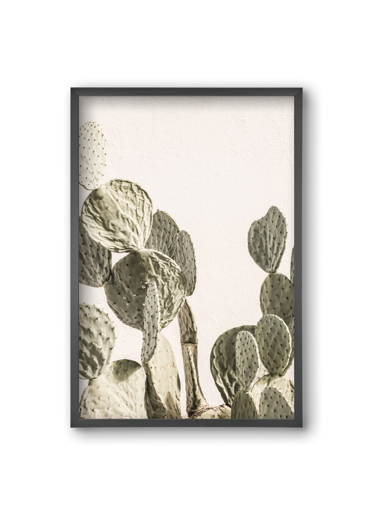 Mexi cactus, 20x30 cm (20x30 cm), Fekete keret