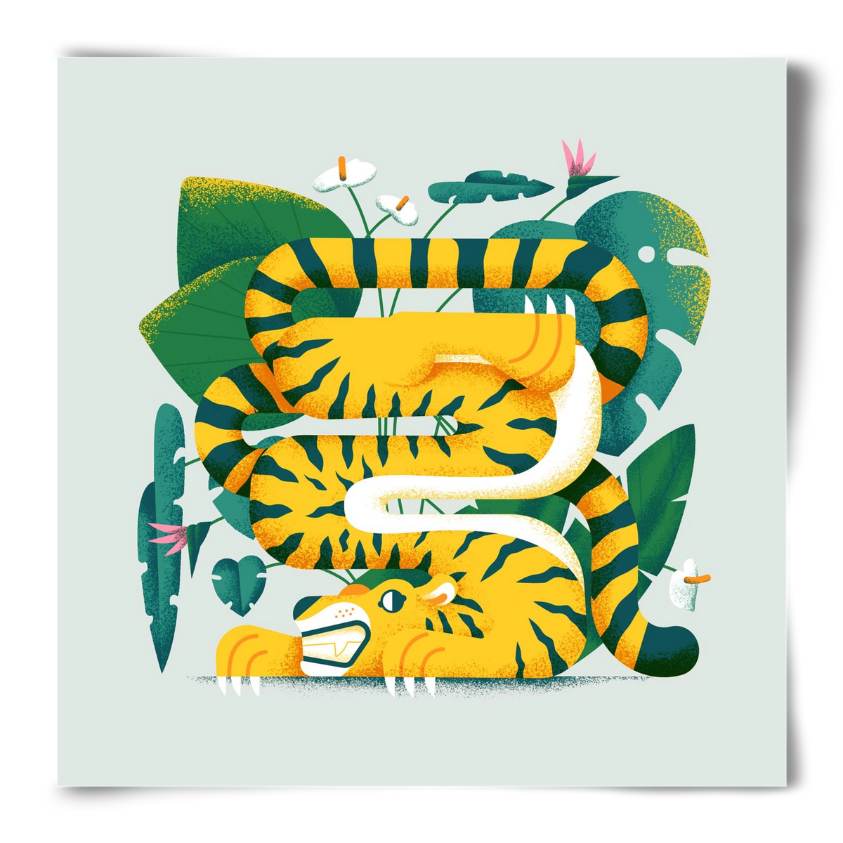 Yoga Tiger, 50x50 cm, Keret nélkül