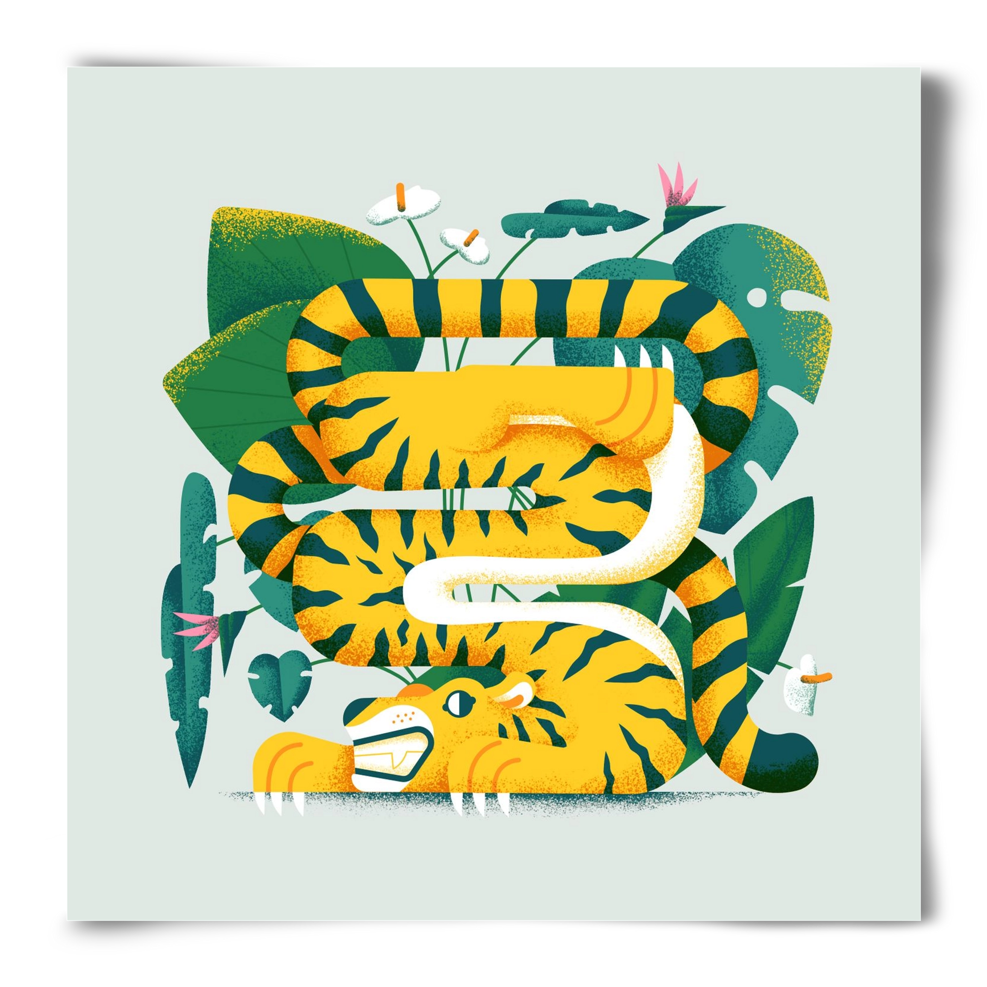 Yoga Tiger, 50x50 cm, Keret nélkül