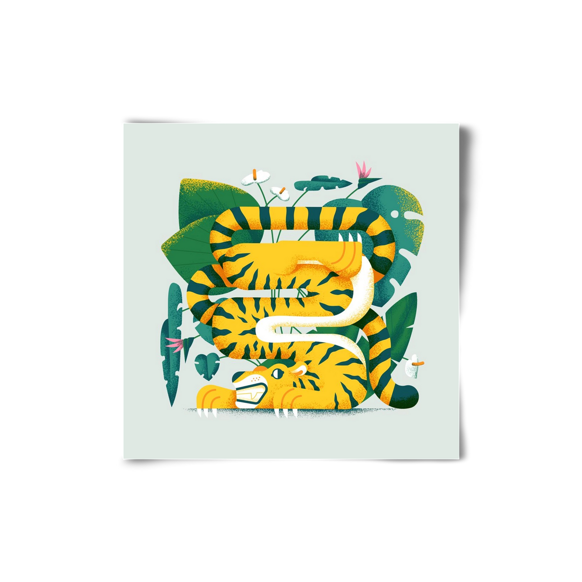 Yoga Tiger, 20x20 cm, Keret nélkül