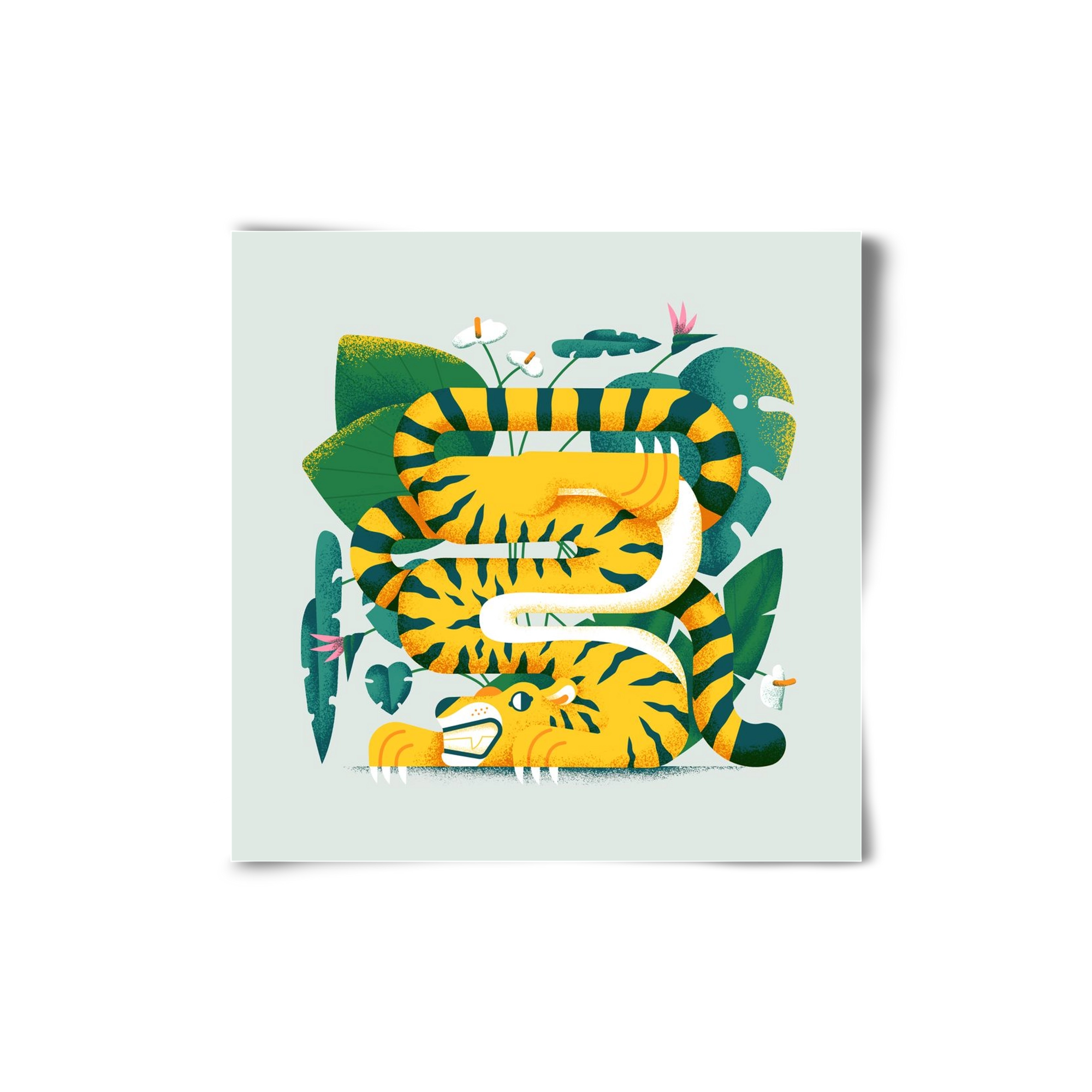 Yoga Tiger, 20x20 cm, Keret nélkül