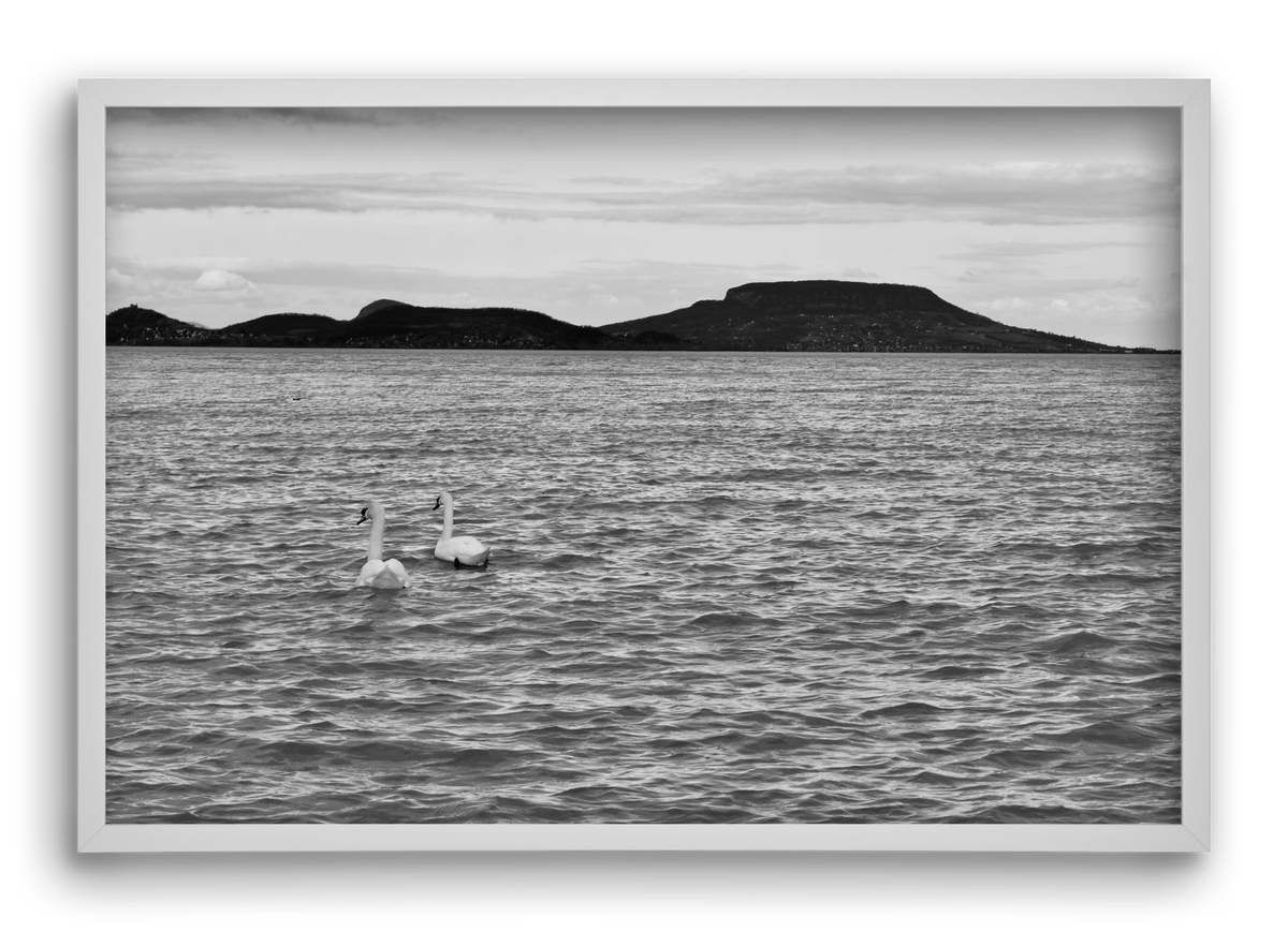 in pairs, 60x40 cm (60x40 cm), Fehér keret