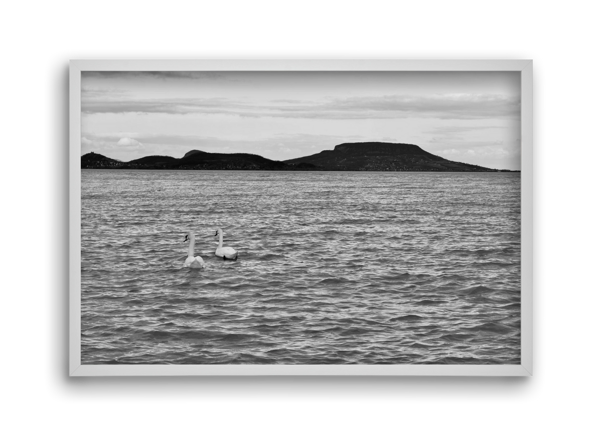 in pairs, 45x30 cm (45x30 cm), Fehér keret