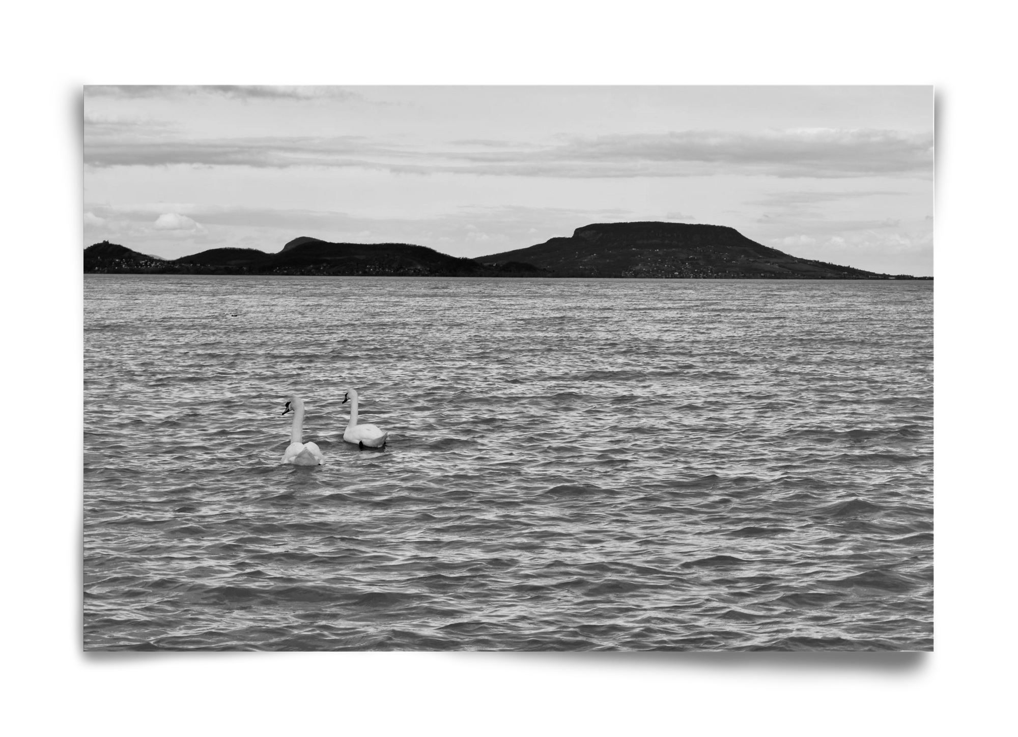 in pairs, 60x40 cm, Keret nélkül