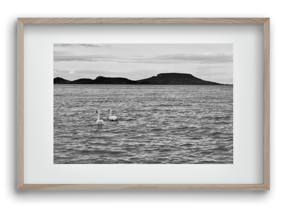 in pairs, 60x40 cm (45x30 cm), Tölgy keret, paszpartuval