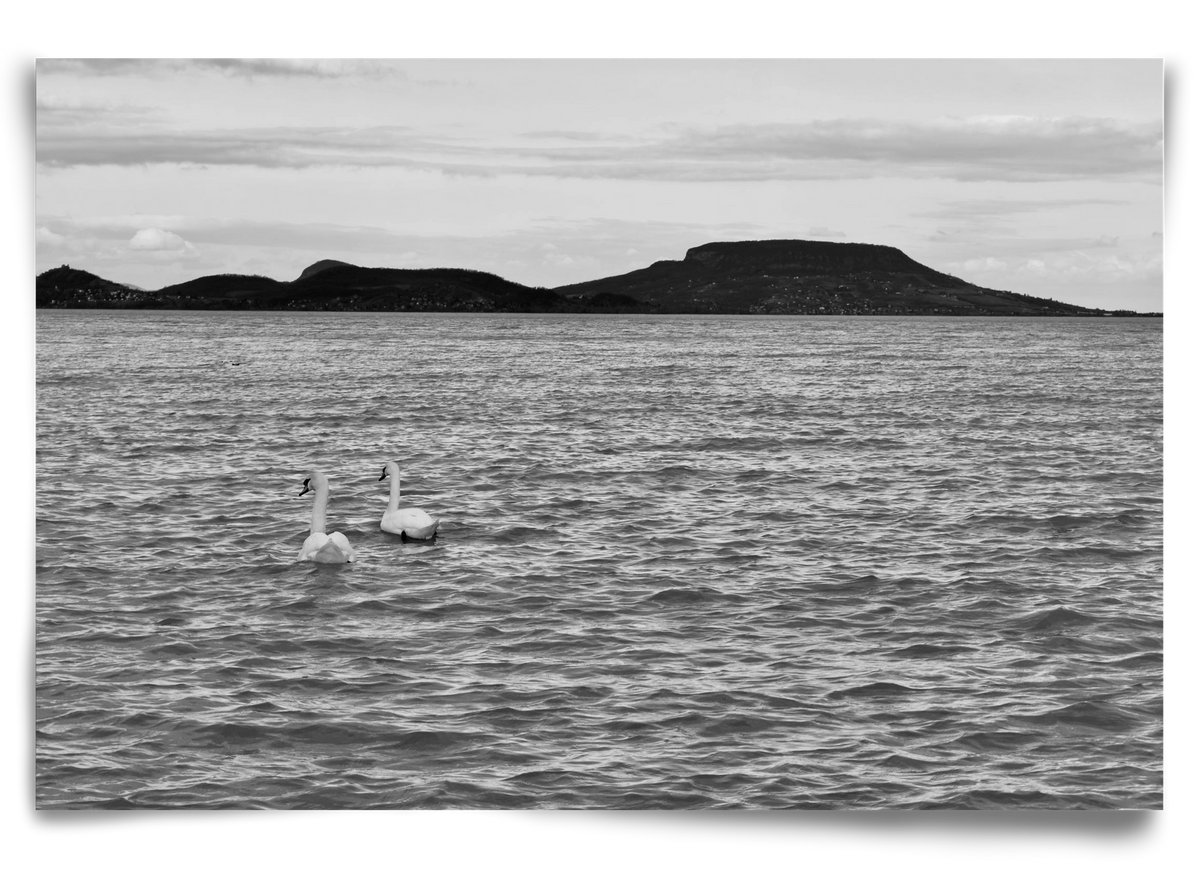 in pairs, 90x60 cm, Keret nélkül