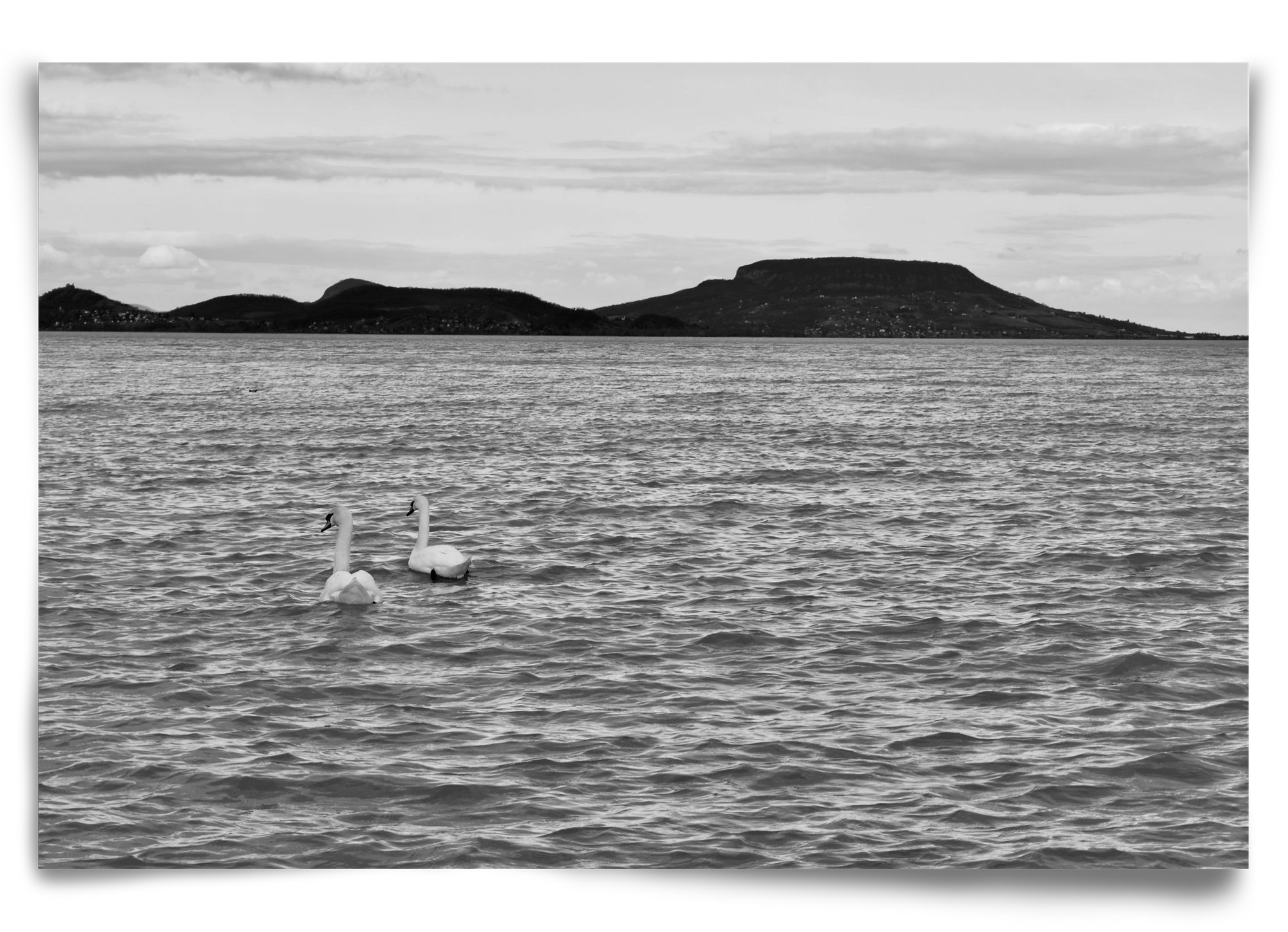 in pairs, 90x60 cm, Keret nélkül