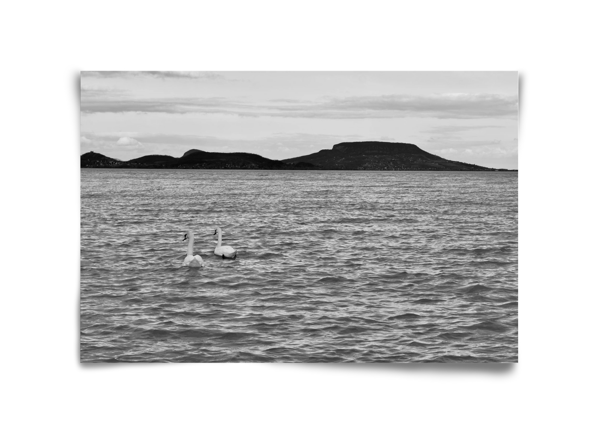 in pairs, 45x30 cm, Keret nélkül