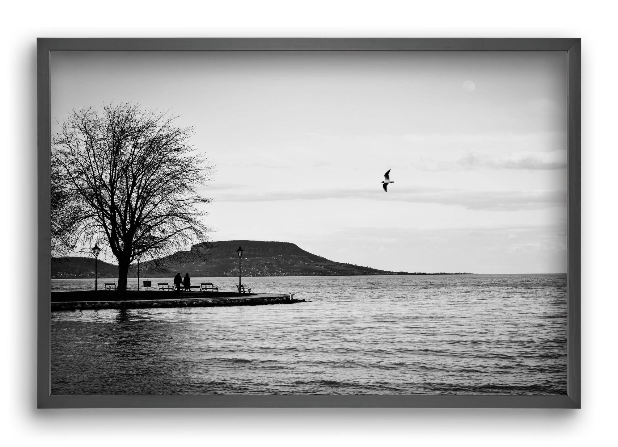 Full moon, 60x40 cm (60x40 cm), Fekete keret
