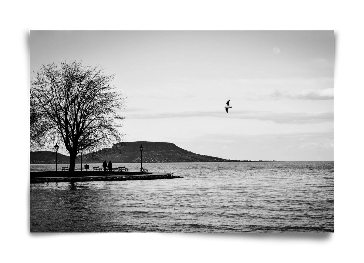 Full moon, 60x40 cm, Keret nélkül