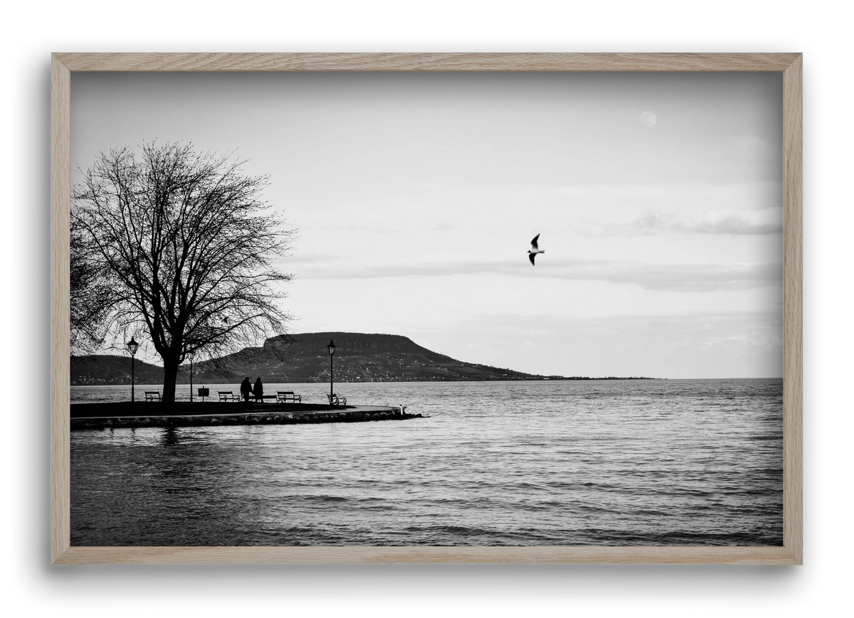 Full moon, 60x40 cm (60x40 cm), Tölgy keret