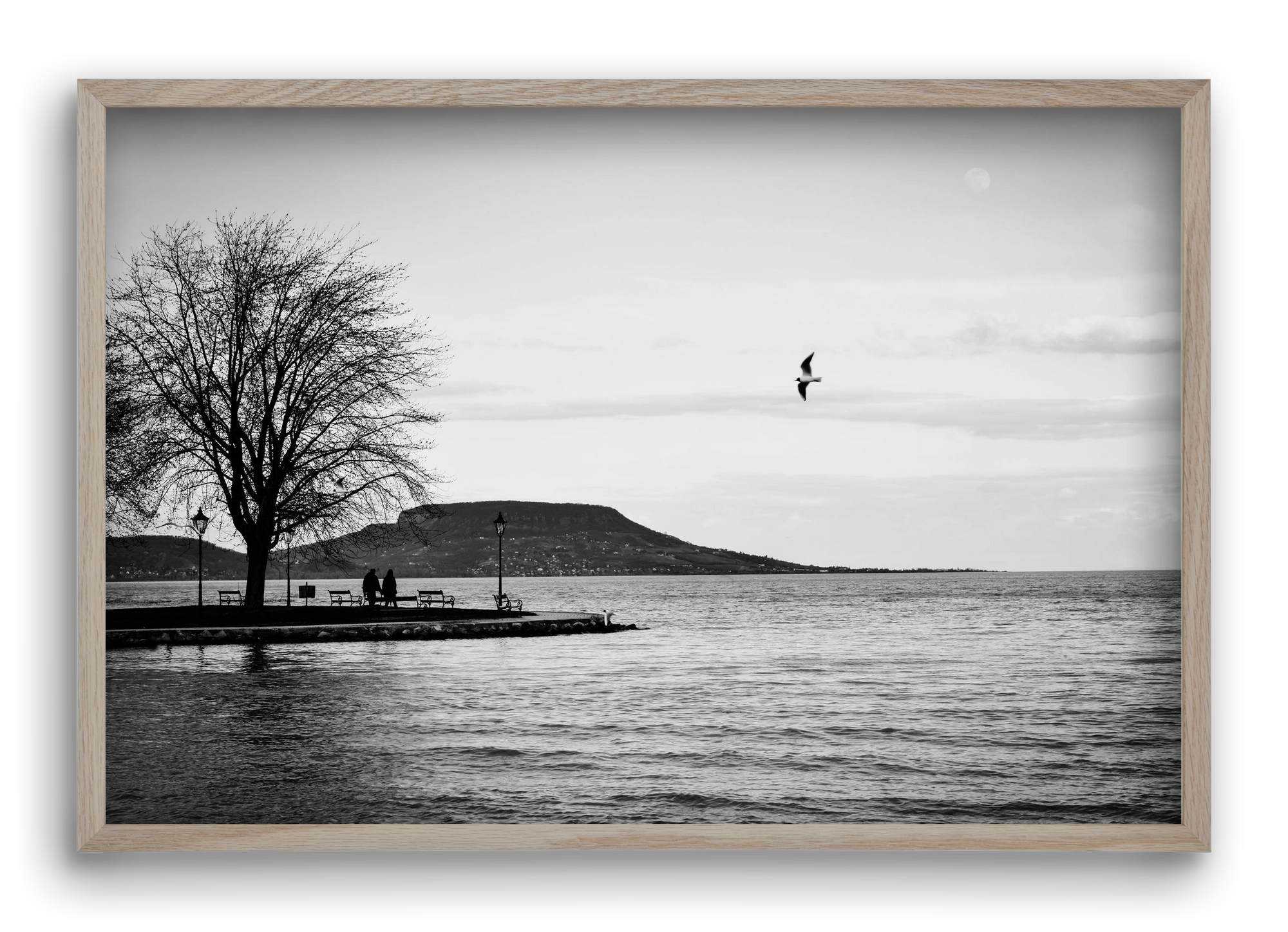 Full moon, 60x40 cm (60x40 cm), Tölgy keret