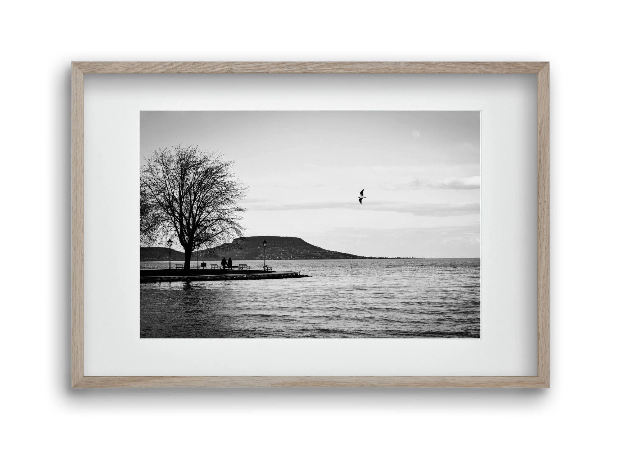 Full moon, 45x30 cm (30x20 cm), Tölgy keret, paszpartuval