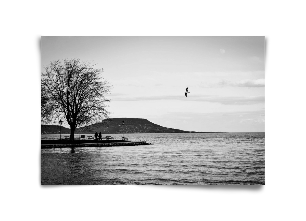 Full moon, 45x30 cm, Keret nélkül