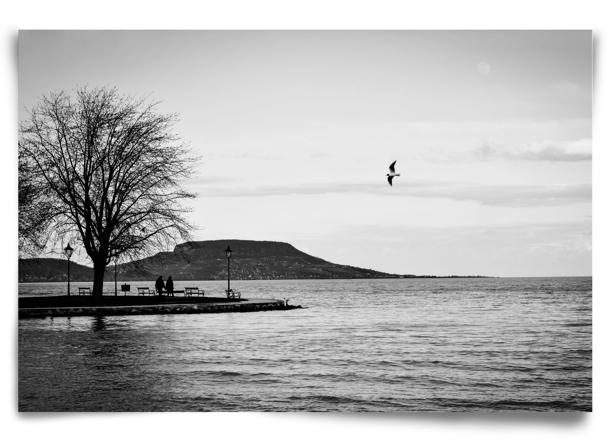 Full moon, 90x60 cm, Keret nélkül